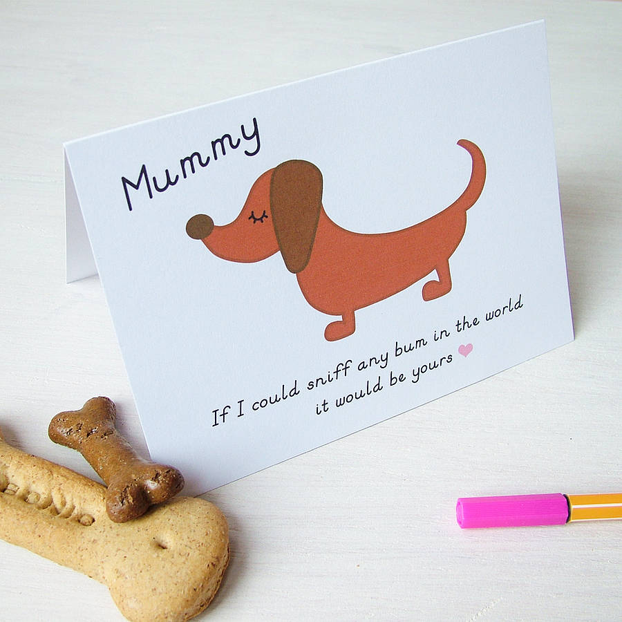 Best Gifts For Your Dog Loving Mother Dan S Dog Walking And Pet Sitting