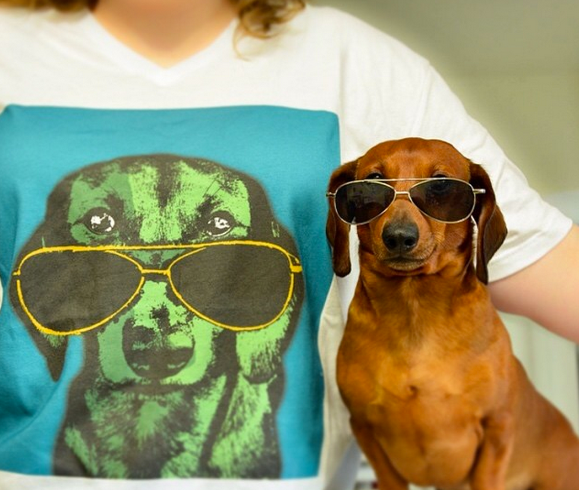  A "Pop Your Pup" pooch