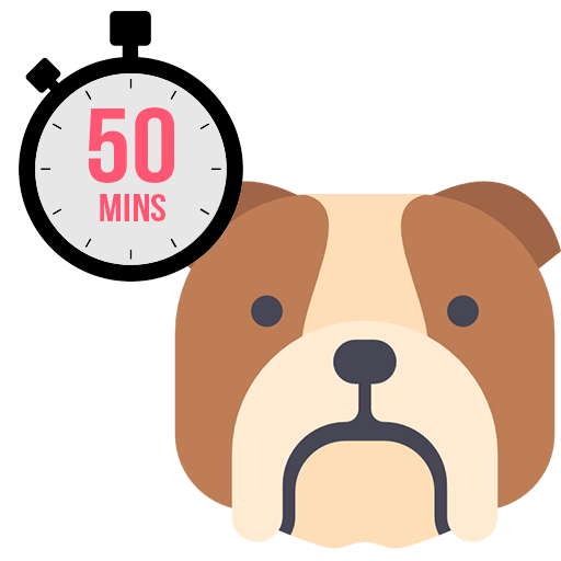 These 50 minute visits are perfect for high energy dogs! Each visit includes a feeding and water change. We can take your dog for a long walk, play time in the backyard or just hang out! The choice is yours!