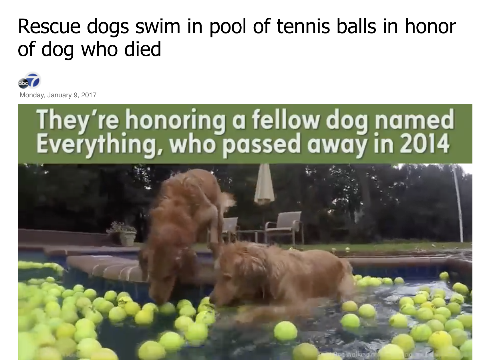 Tennis Balls For Everything on ABC7 News