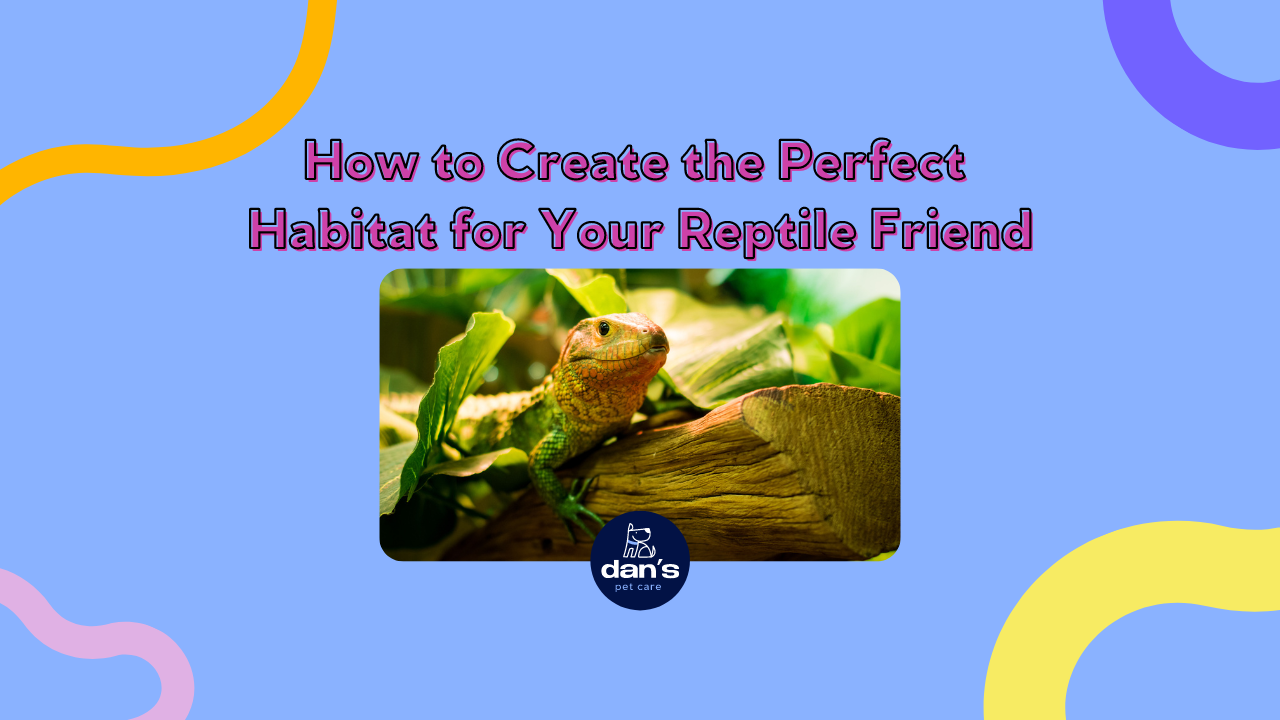 How to Create the Perfect Habitat for Your Reptile Friend