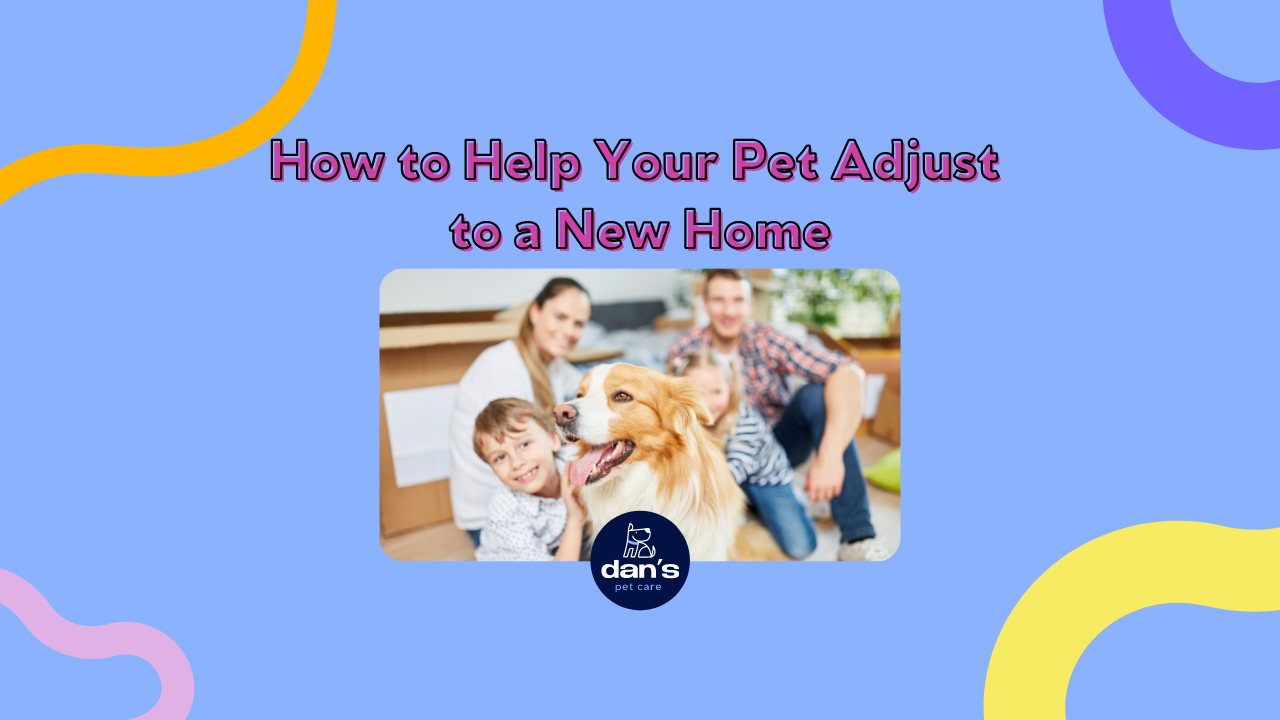 How to Help Your Pet Adjust to a New Home: Tips for Making the