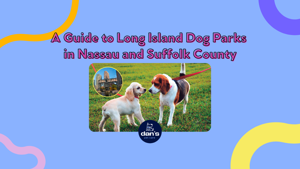 A Guide to Long Island Dog Parks in Nassau and Suffolk County — Dan's Pet Care