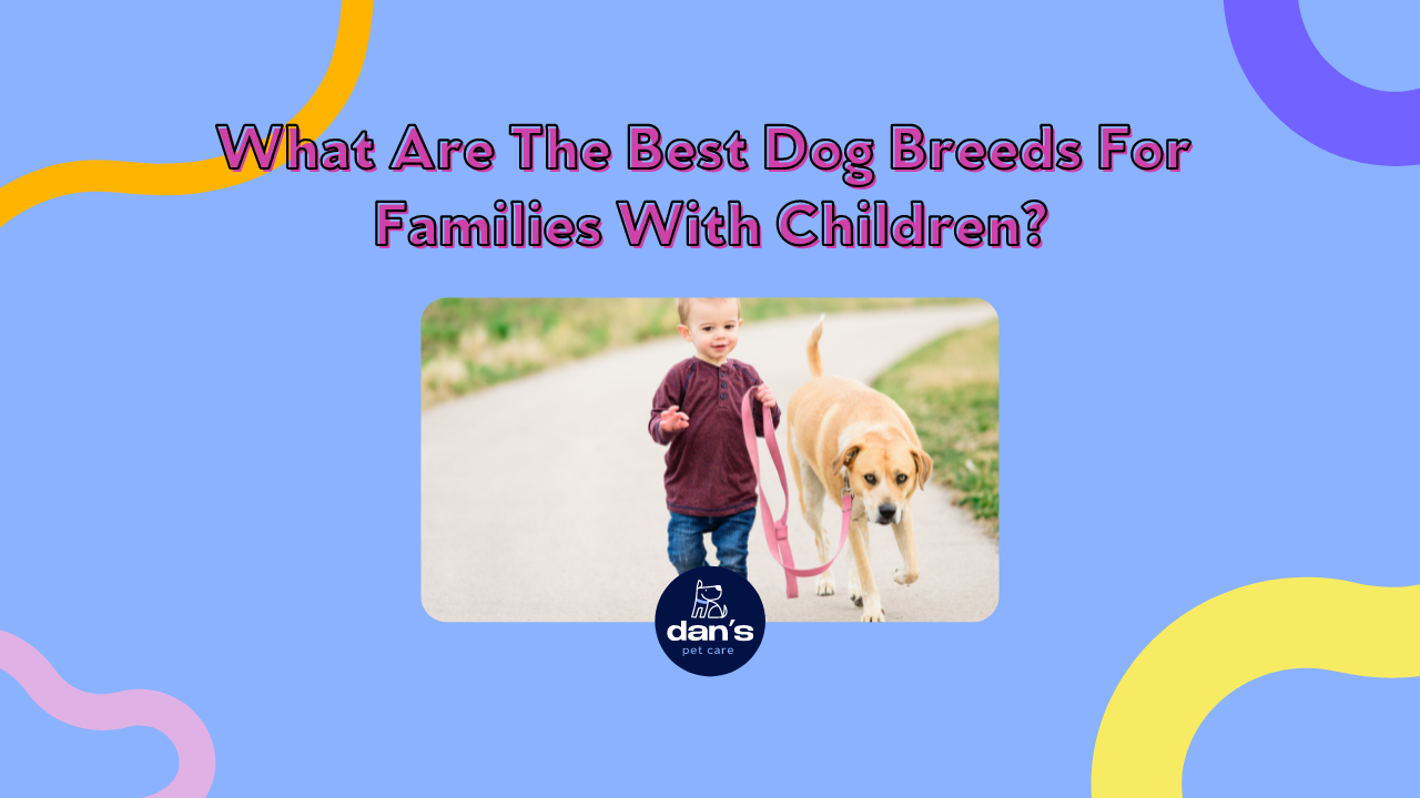 What Are The Best Dog Breeds For Families With Children? — Dan's Pet Care