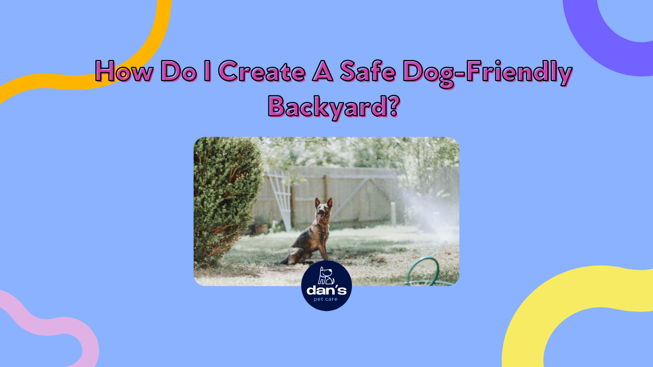 How Do I Create A Safe Dog-Friendly Backyard?