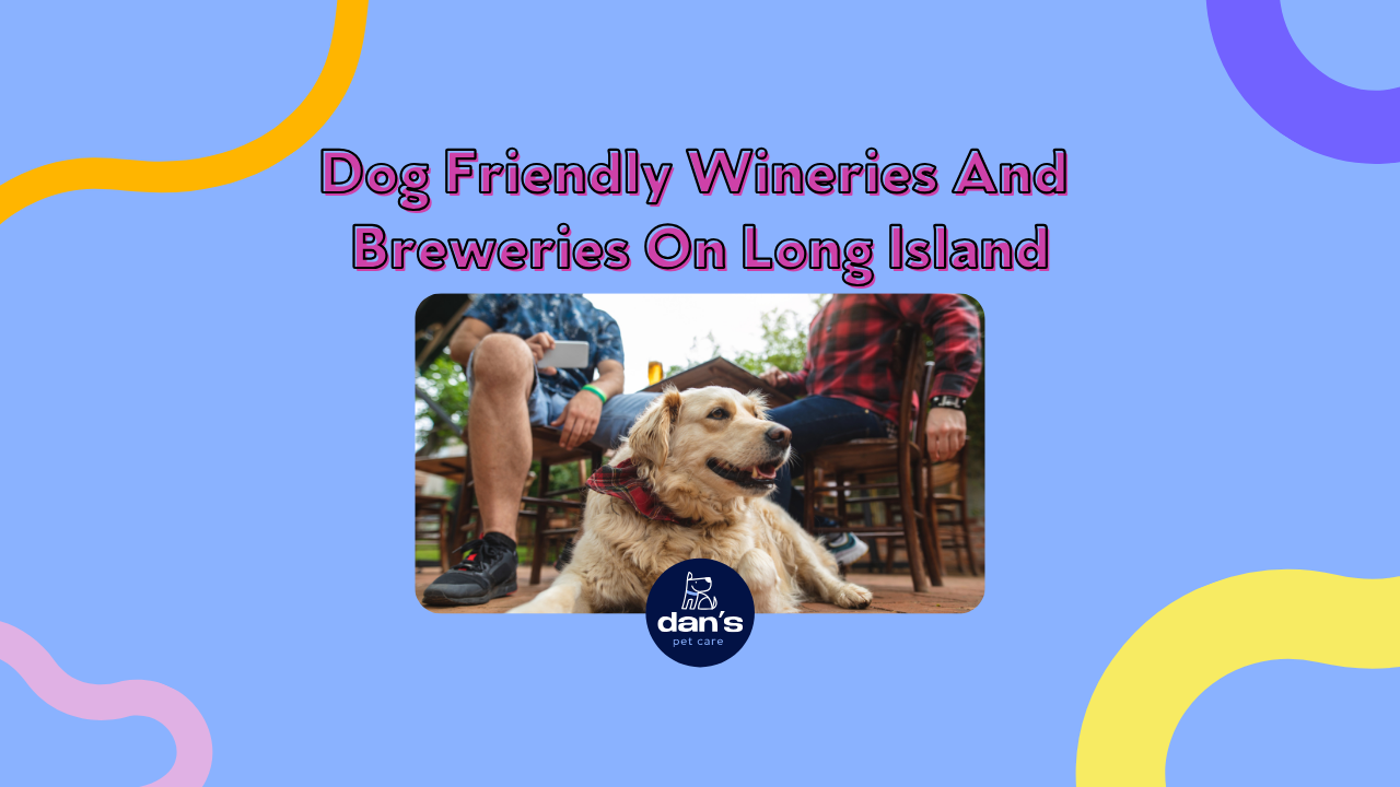 Dog Friendly Wineries And Breweries On Long Island