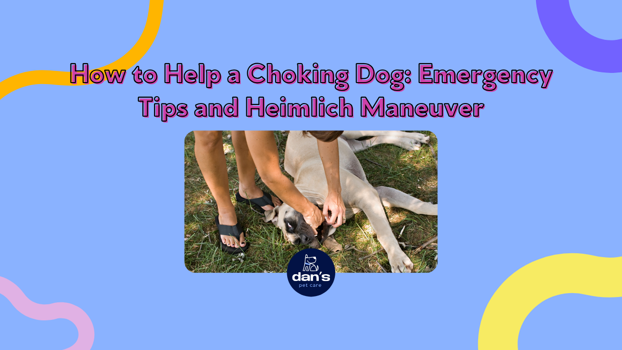 How to Help a Choking Dog: Emergency Tips and Heimlich Maneuver