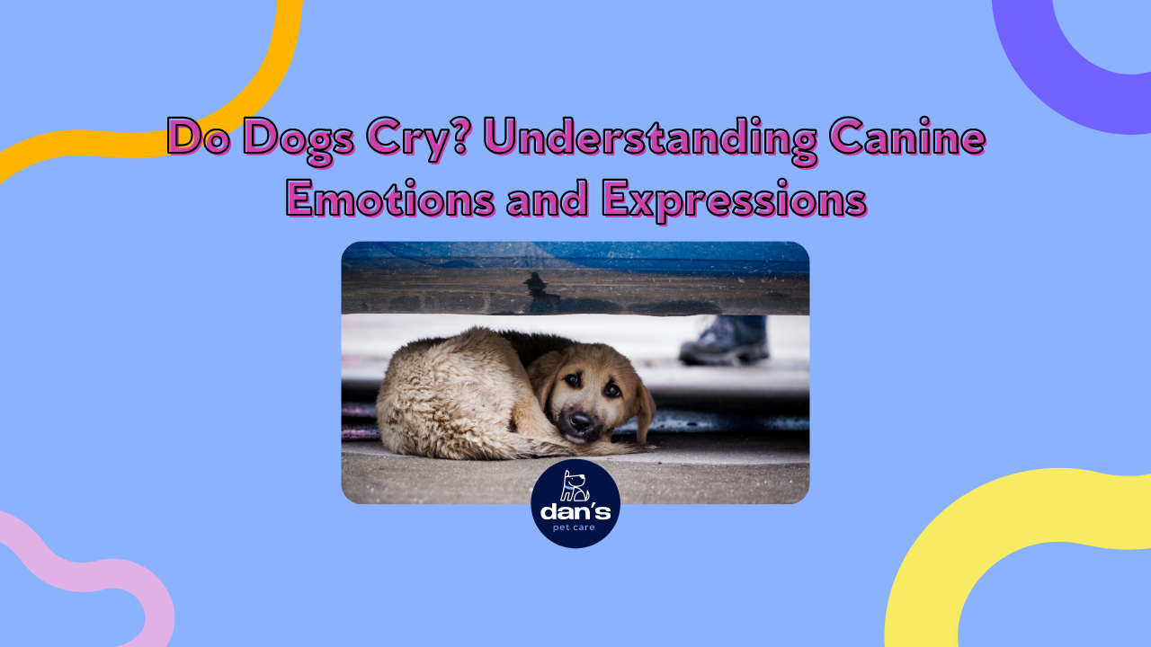 Do Dogs Cry? Understanding Canine Emotions and Signs of Distress