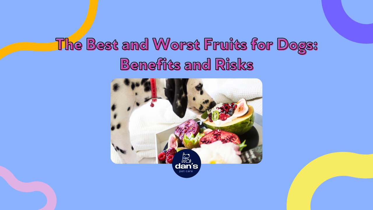 The Best and Worst Fruits for Dogs: Benefits and Risks