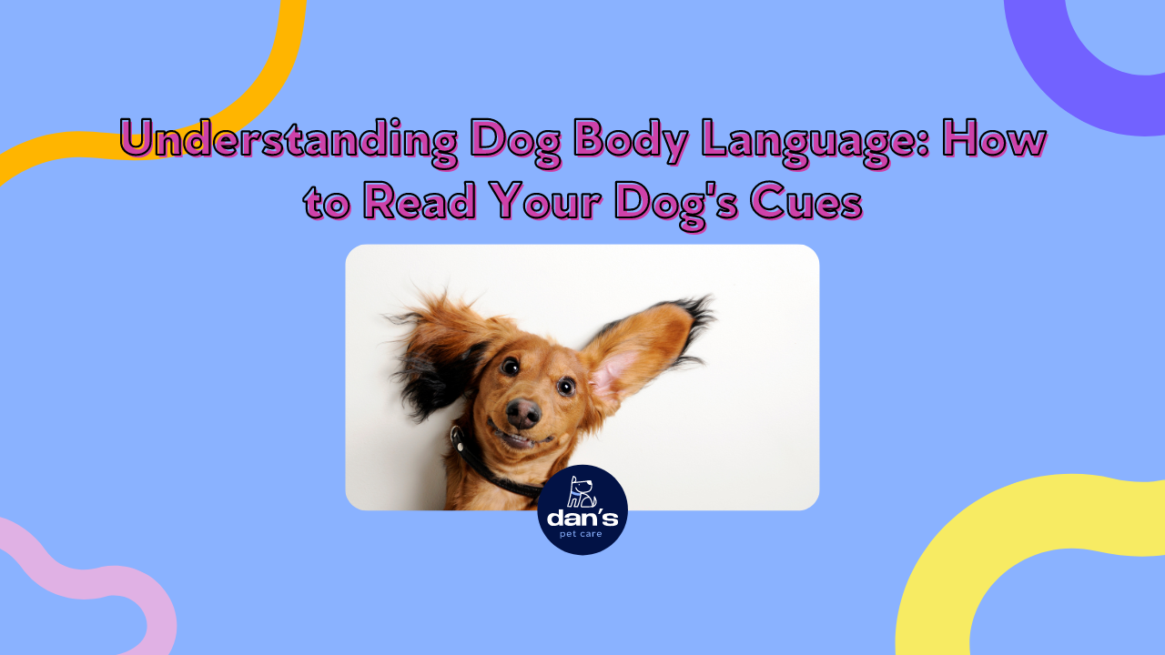Understanding Dog Body Language: How to Read Your Dog's Cues