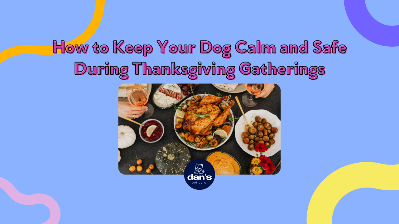 How to Keep Your Dog Calm and Safe During Thanksgiving Gatherings