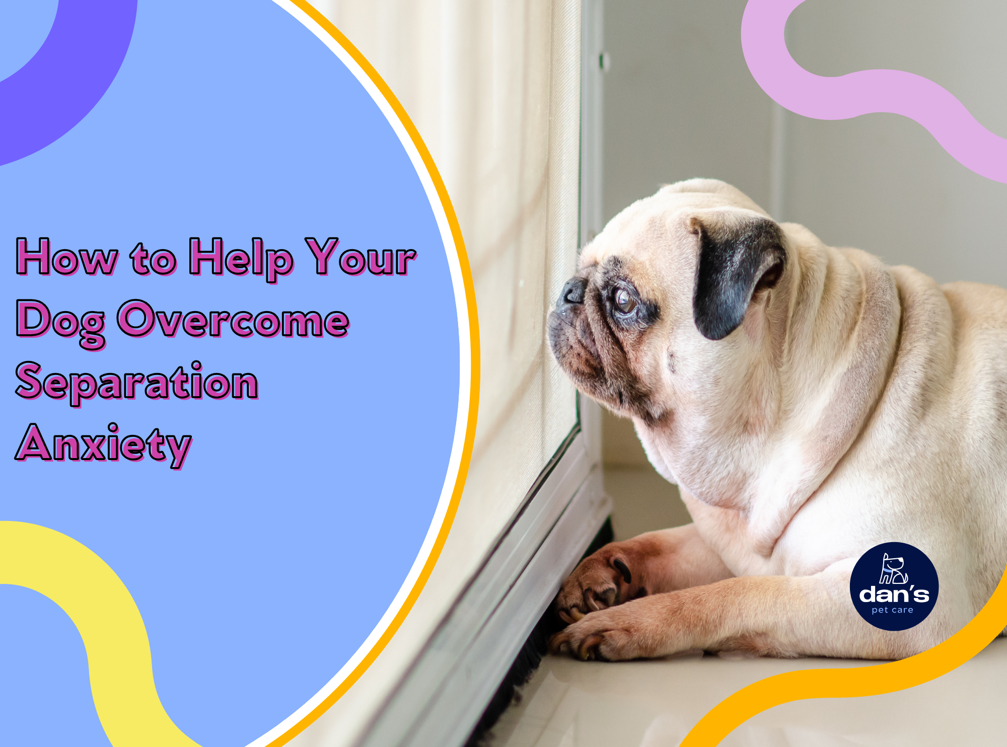 How to Help Your Dog Overcome Separation Anxiety