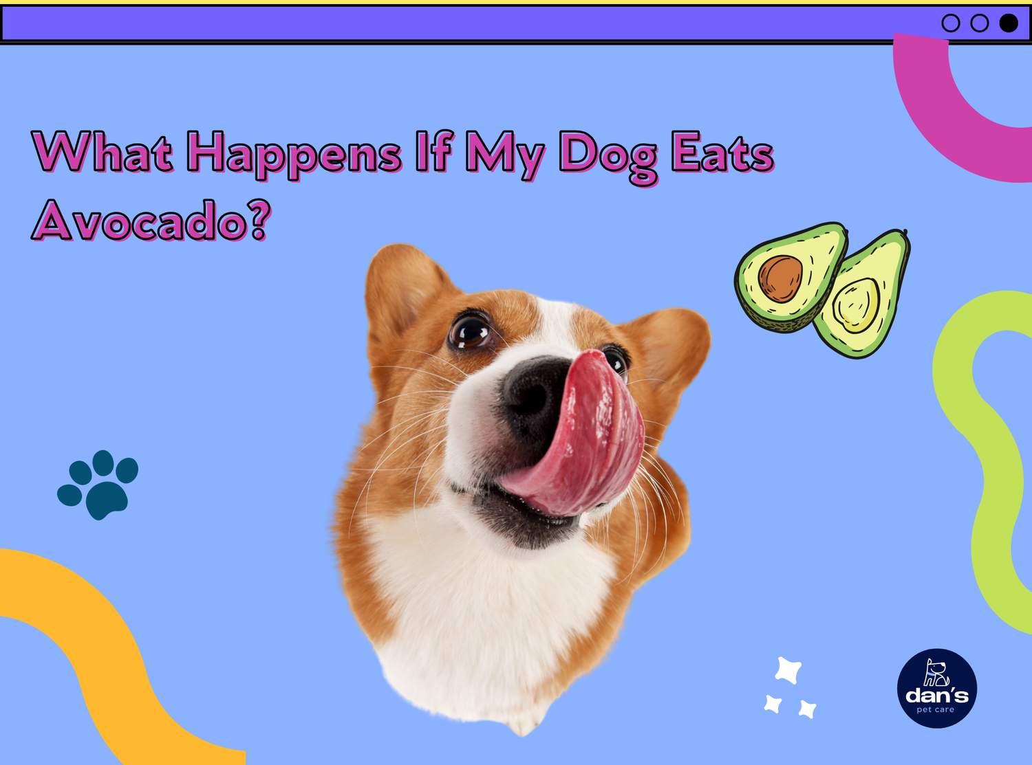 Hot avocado toxic to dogs Store