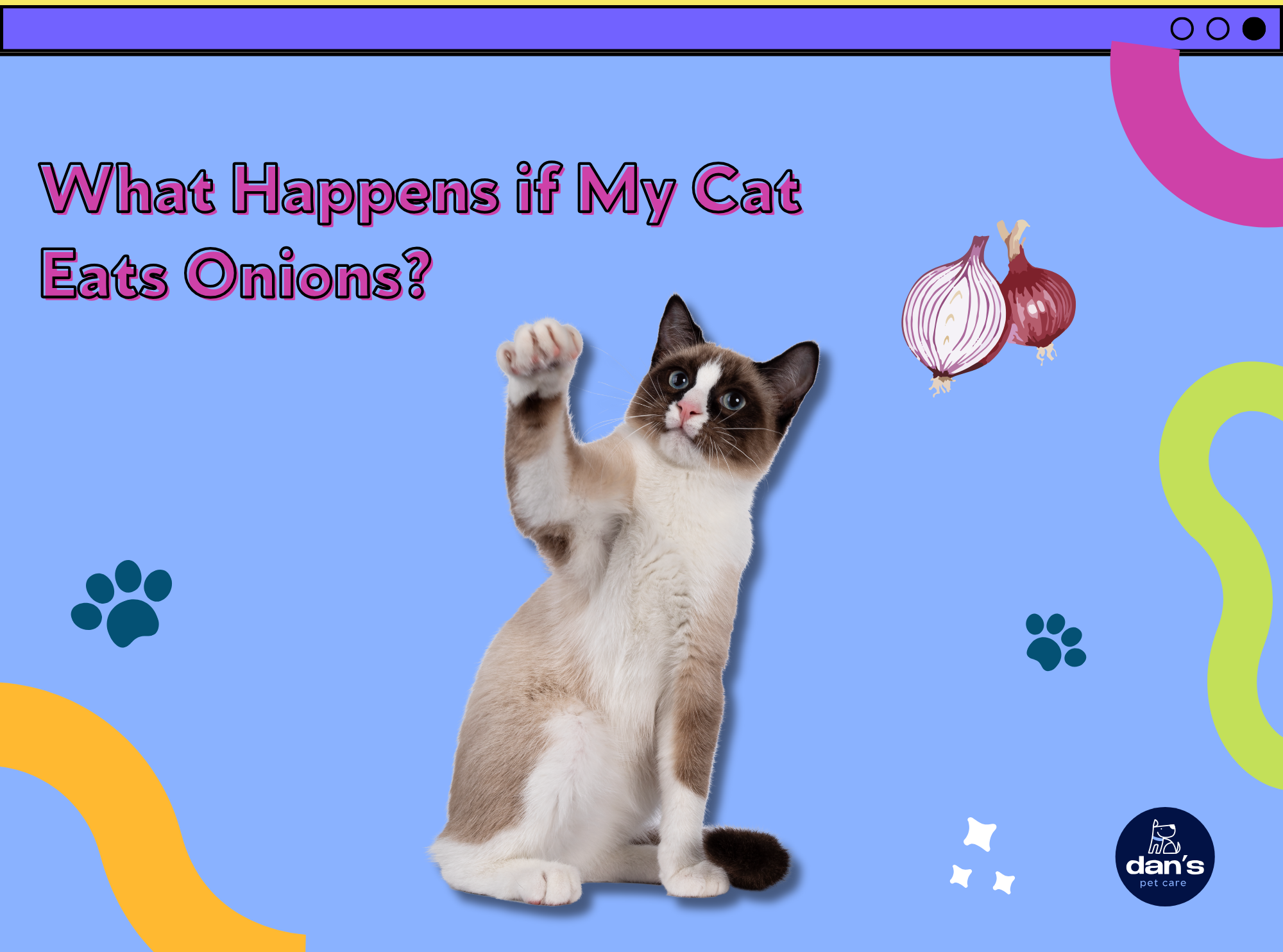 What Happens if My Cat Eats Onions?