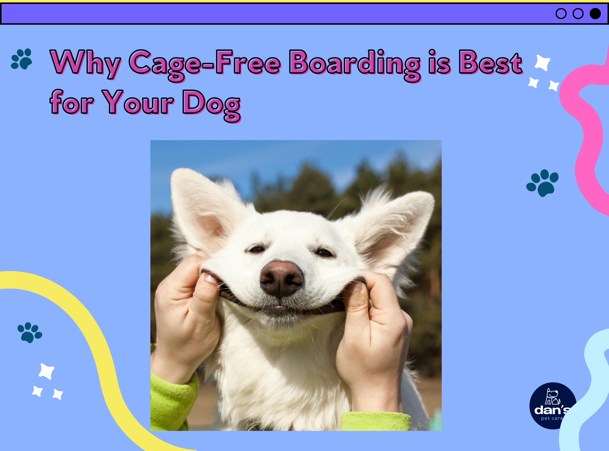 Why Cage-Free Boarding is Best for Your Dog
