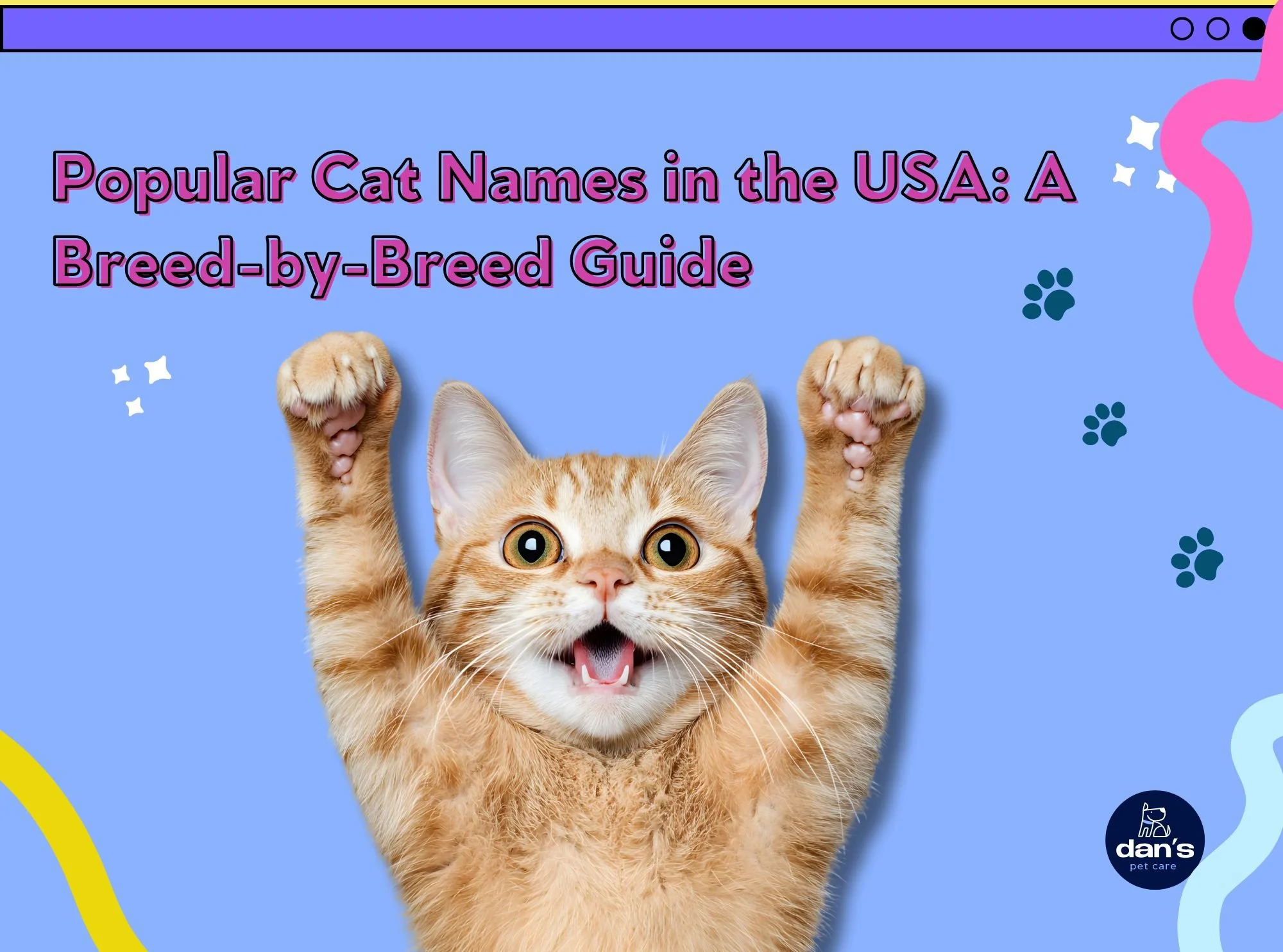 Popular Cat Names in the USA: A Breed-by-Breed Guide