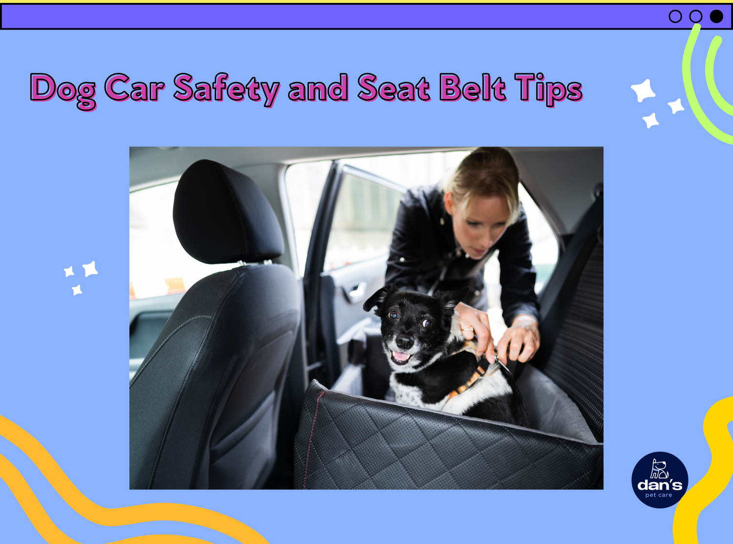 Do I Need to Restrain My Dog in the Car: Essential Safety Tips