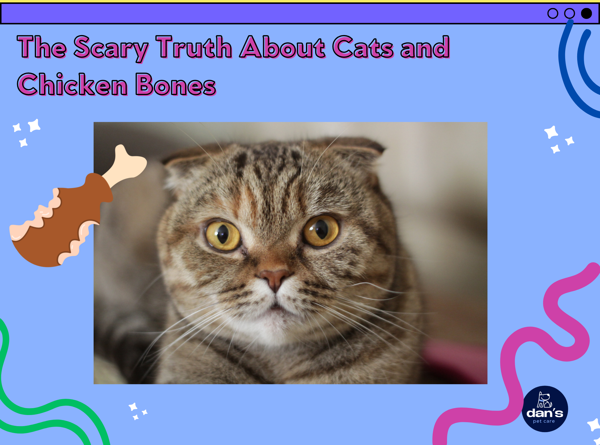 The Scary Truth About Cats and Chicken Bones