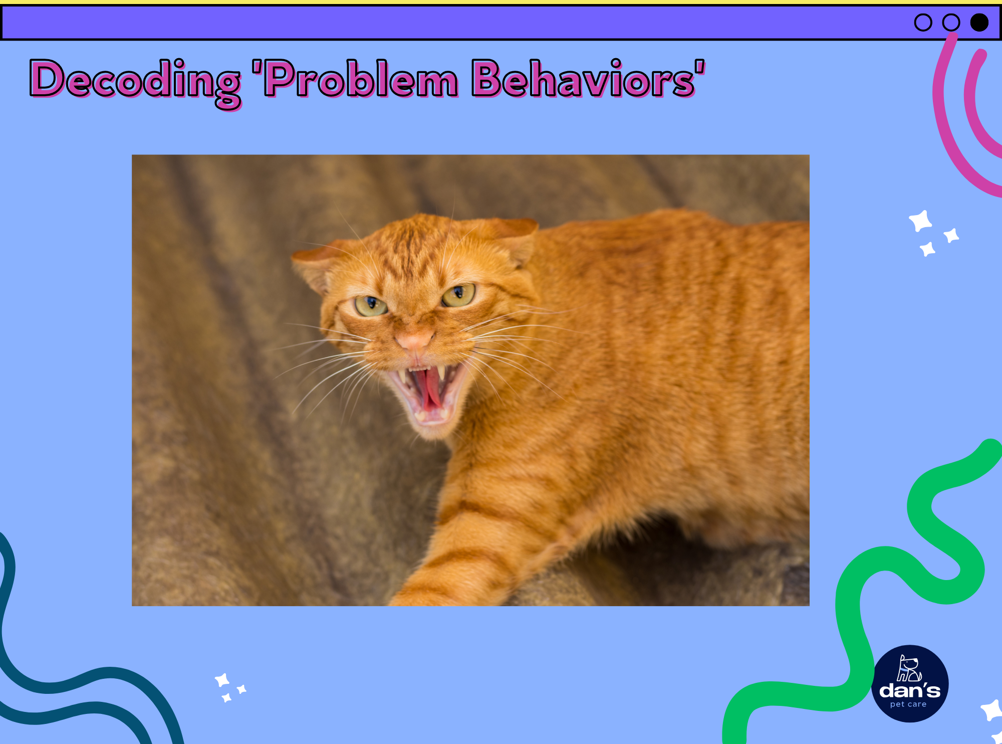 Decoding 'Problem Behaviors': When Normal Cat Actions Become Household Conflicts