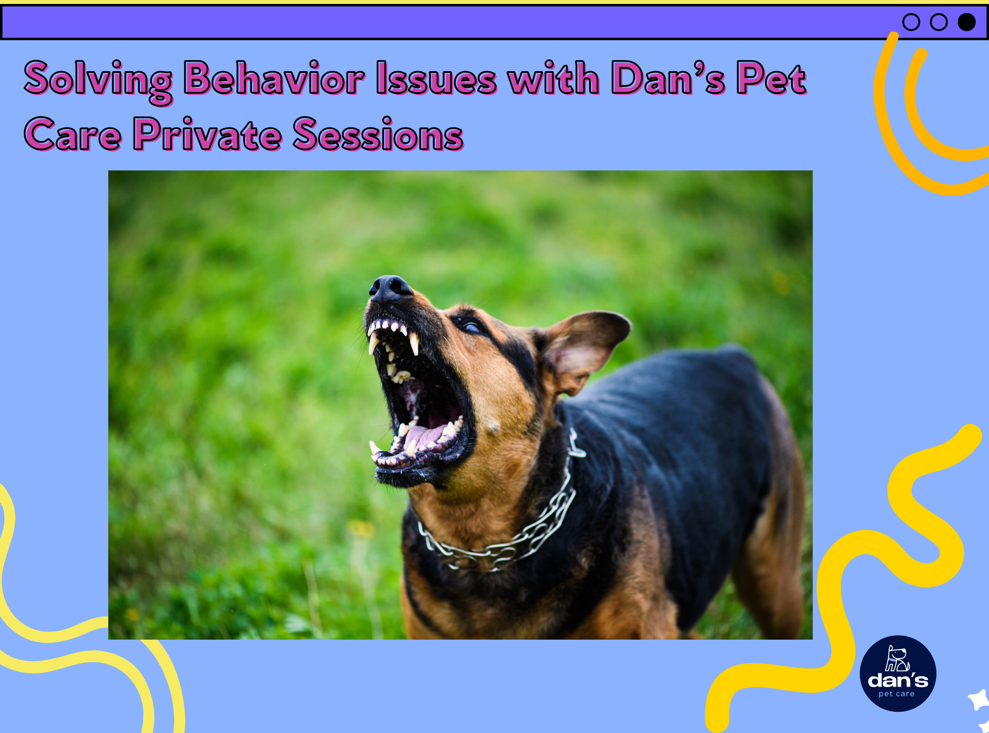 Modern Training for Modern Dogs: Solving Behavior Issues with Dan’s Pet Care Private Sessions