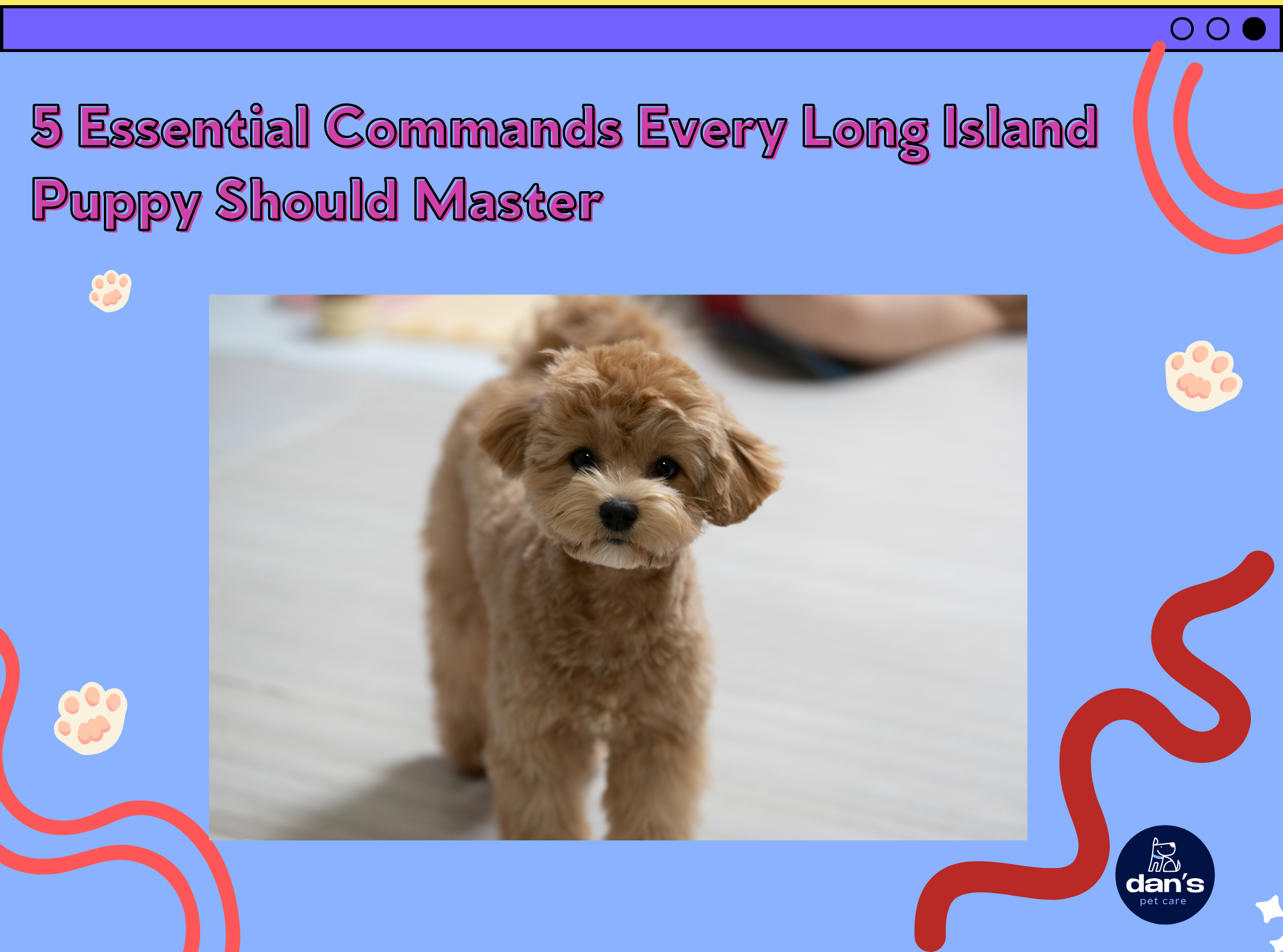 5 Essential Commands Every Long Island Puppy Should Master