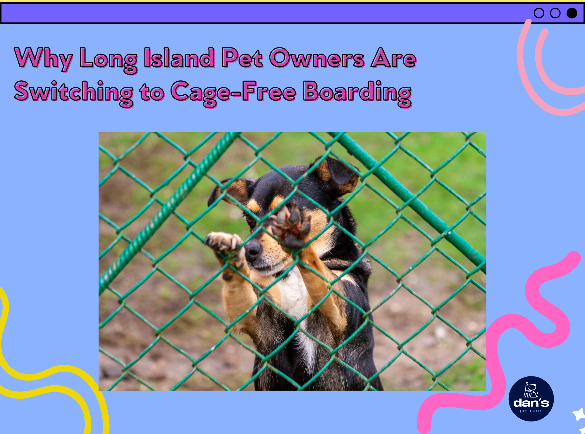Why Long Island Pet Owners Are Switching to Cage-Free Boarding