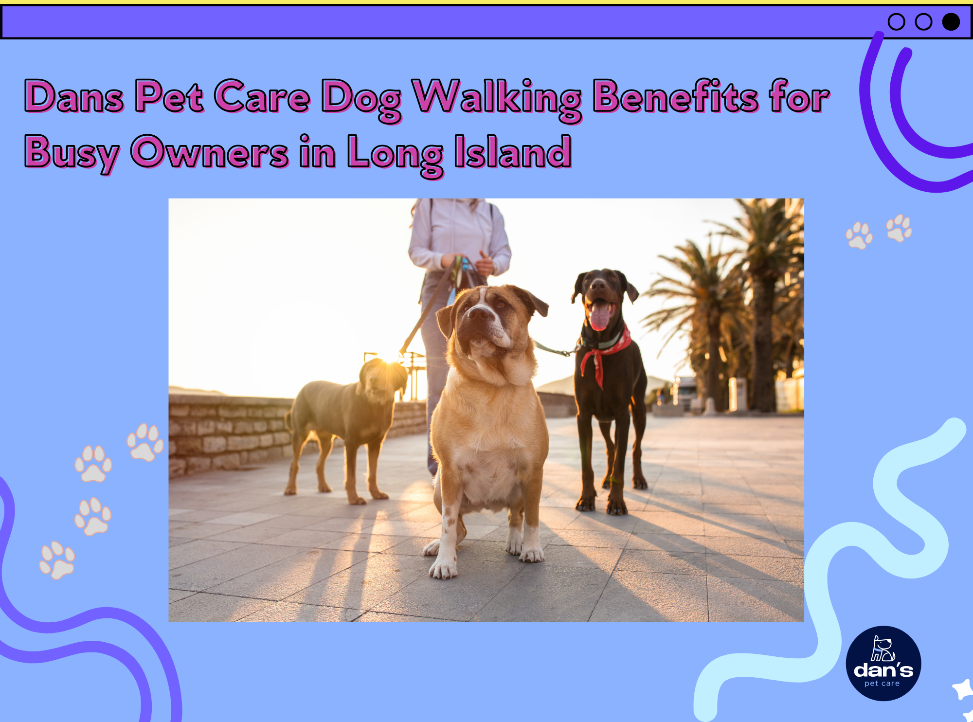 Dans Pet Care Dog Walking Benefits for Busy Owners in Long Island