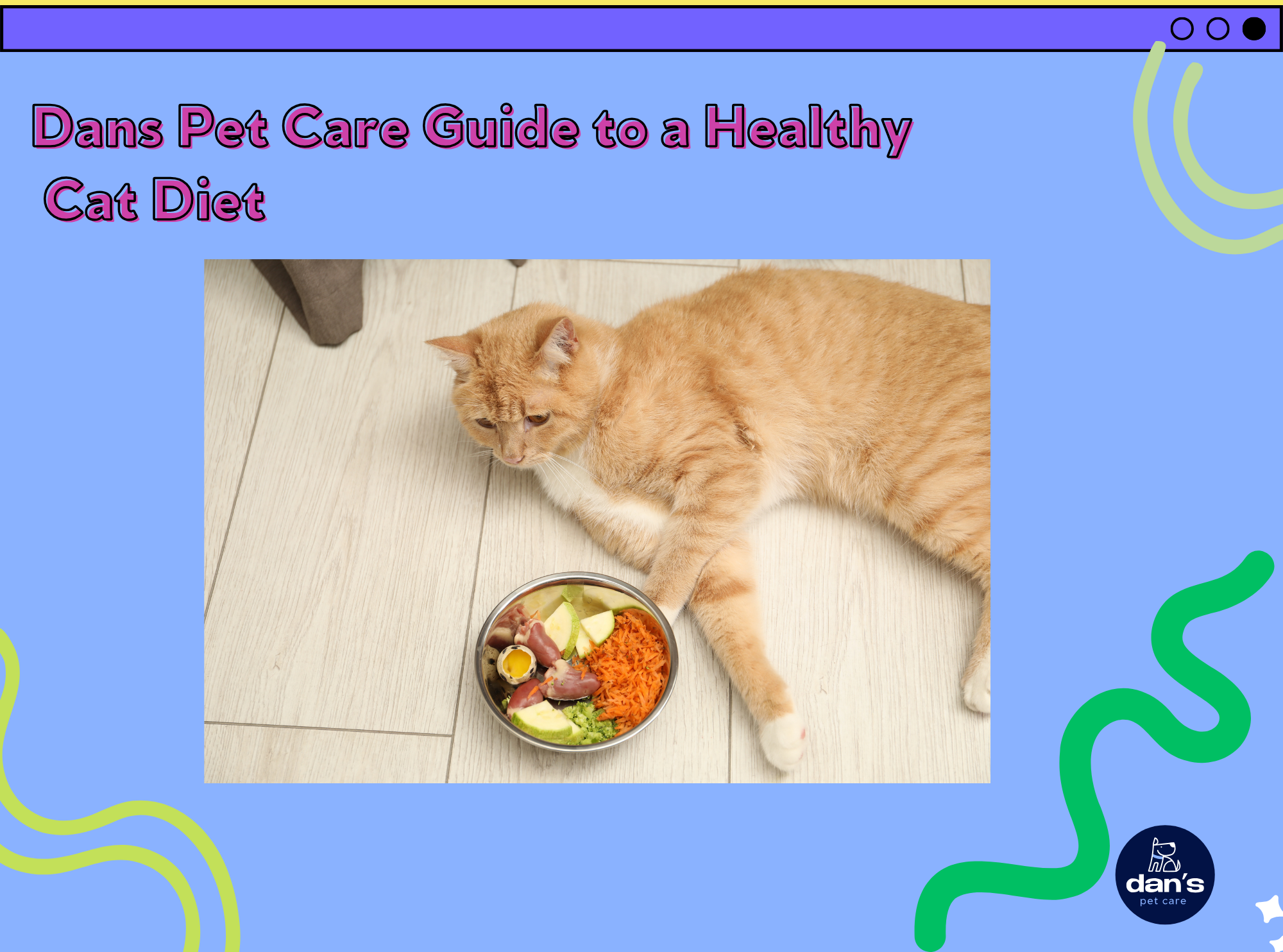 Dans Pet Care Guide to a Healthy Cat Diet