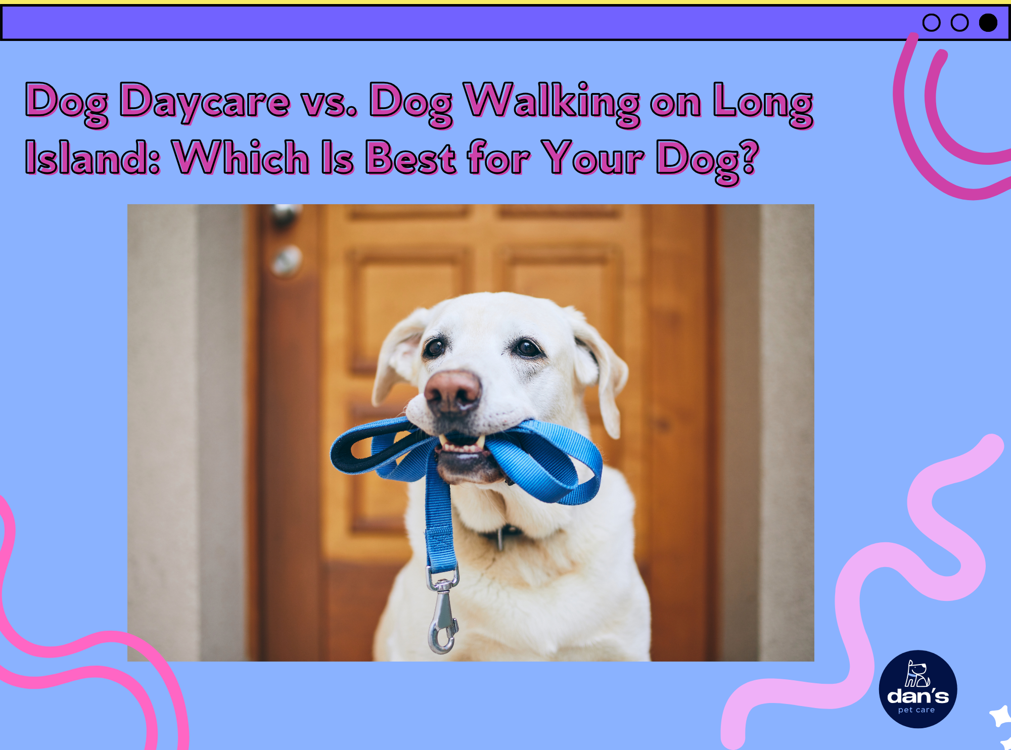 Dog Daycare vs. Dog Walking on Long Island: Which Is Best for Your Dog?