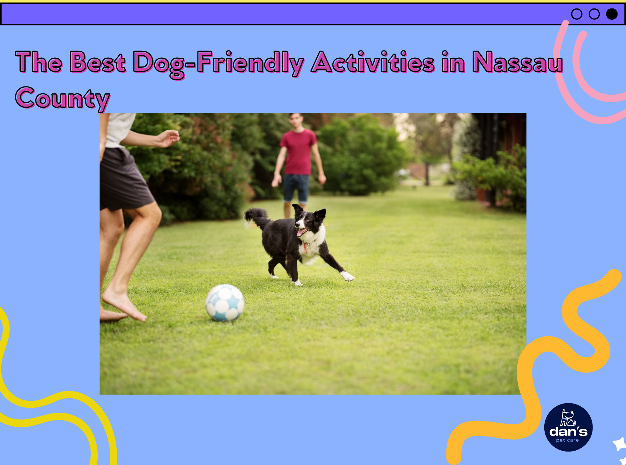 The Best Dog-Friendly Activities in Nassau County