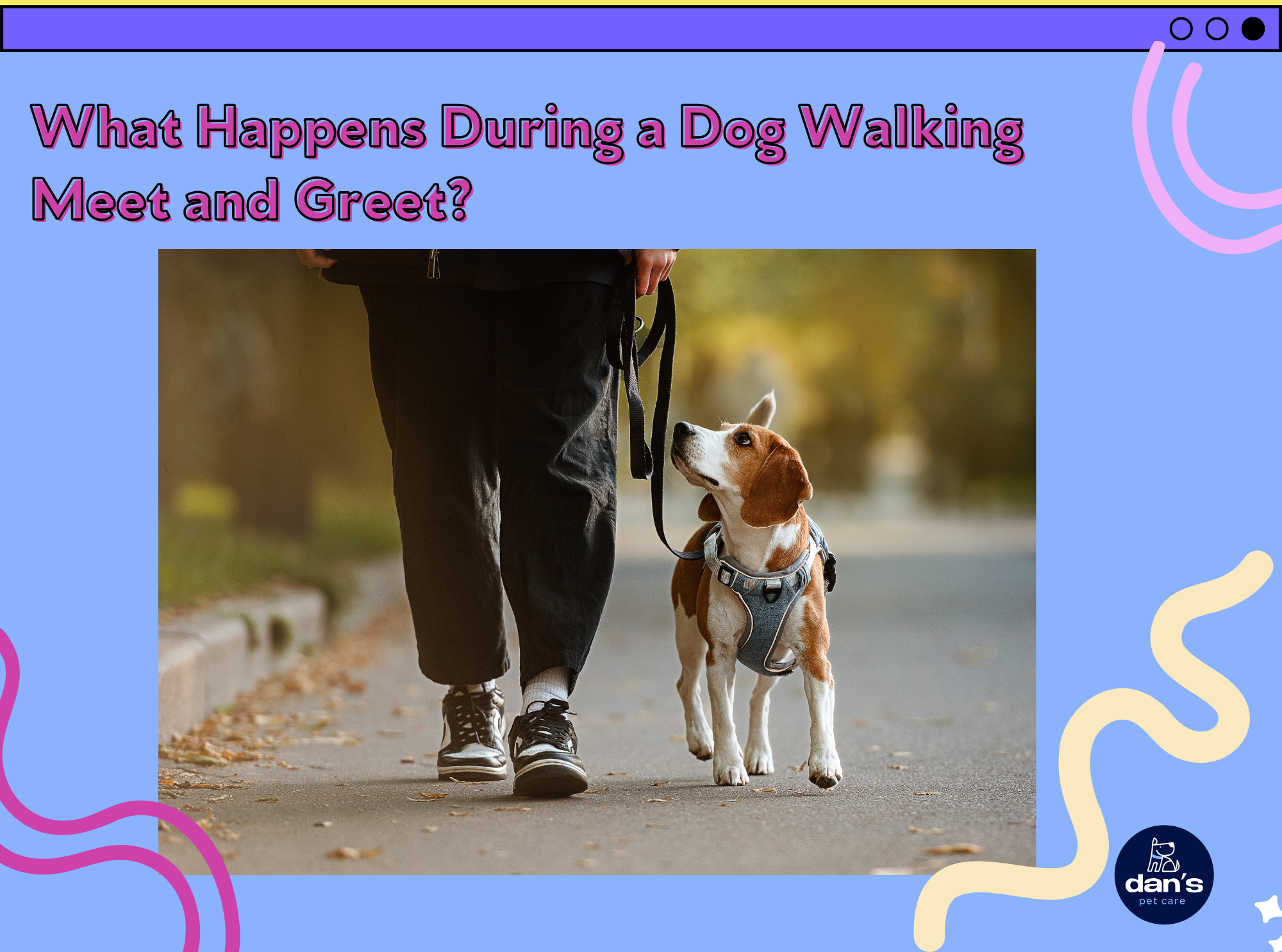What Happens During a Dog Walking Meet and Greet?