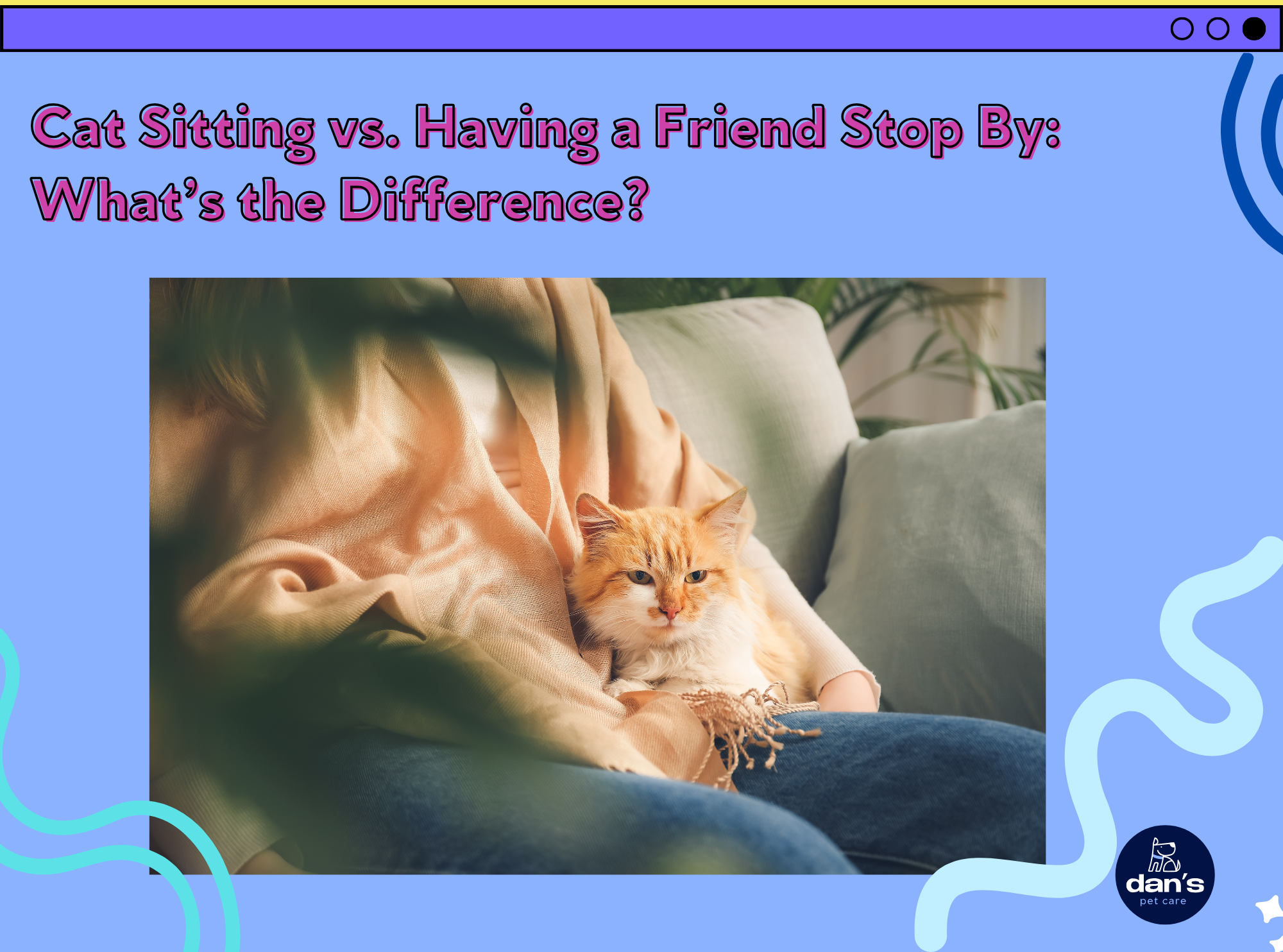 Cat Sitting vs. Having a Friend Stop By: What’s the Difference?