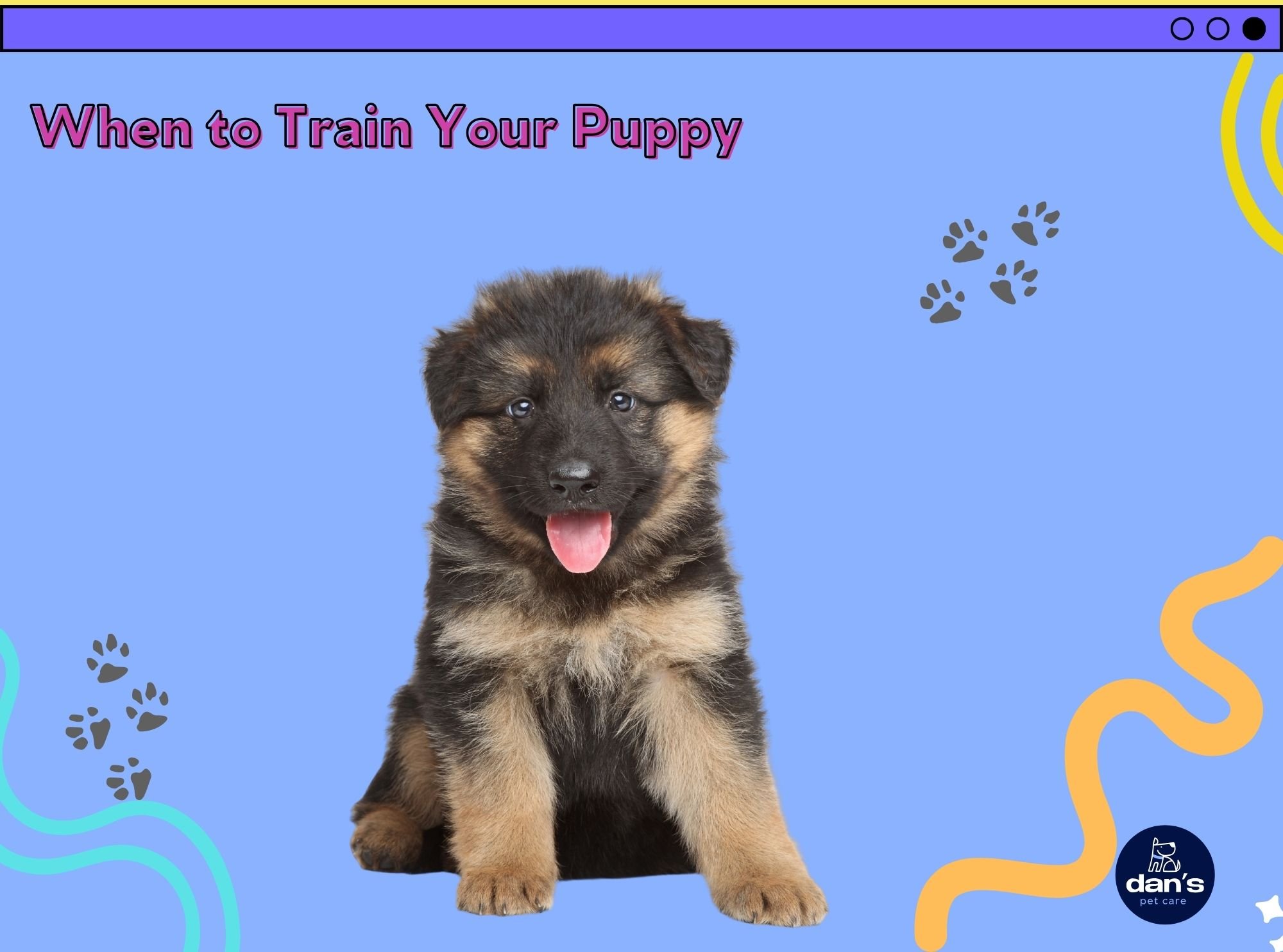 When to Train Your Puppy