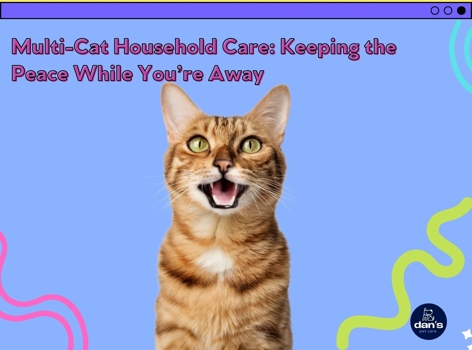 Multi-Cat Household Care: Keeping the Peace While You’re Away