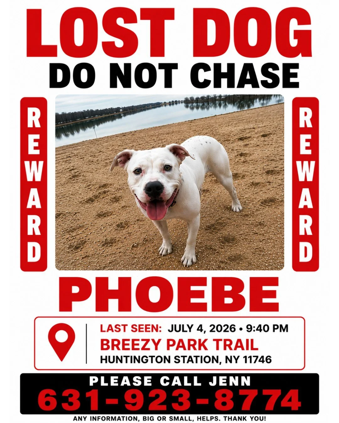 🚨 LOST DOG &mdash; HUNTINGTON STATION 🚨
⠀
Phoebe is a sweet white pittie with a red collar. She's friendly, but she's scared right now, so please DO NOT chase her. If she bolts, we lose her trail. Slow, calm, and low to the ground is what brings he