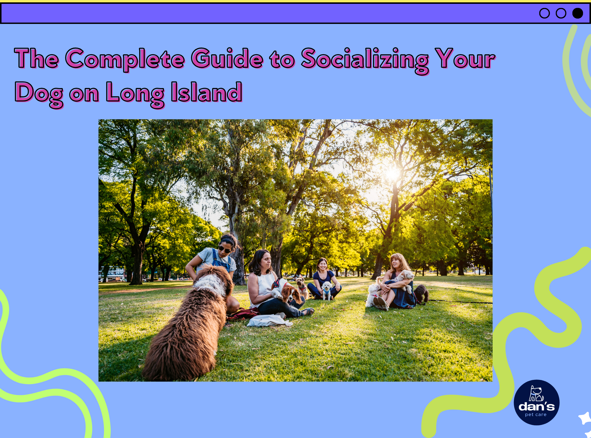 The Complete Guide to Socializing Your Dog on Long Island 