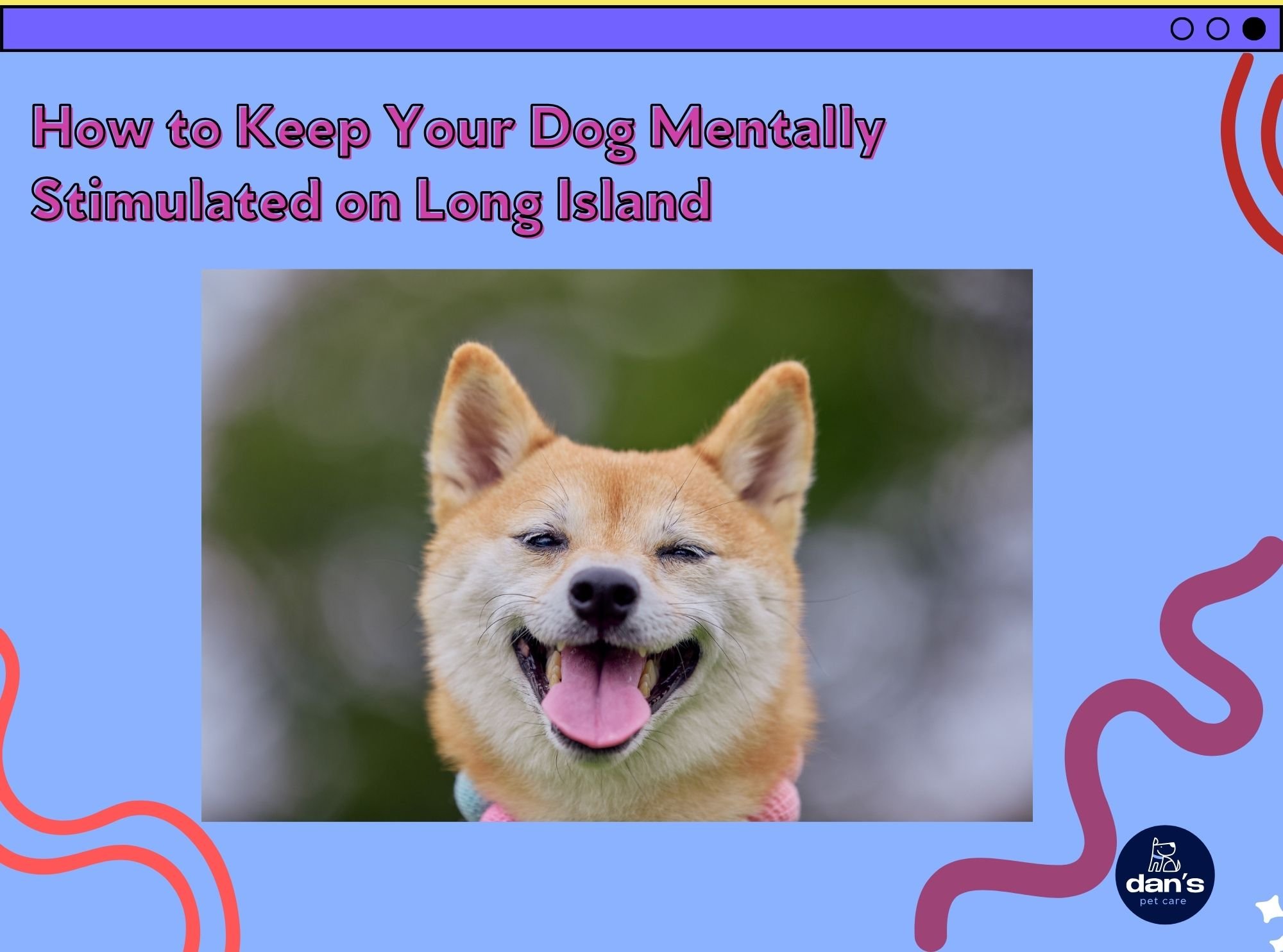 How to Keep Your Dog Mentally Stimulated on Long Island 