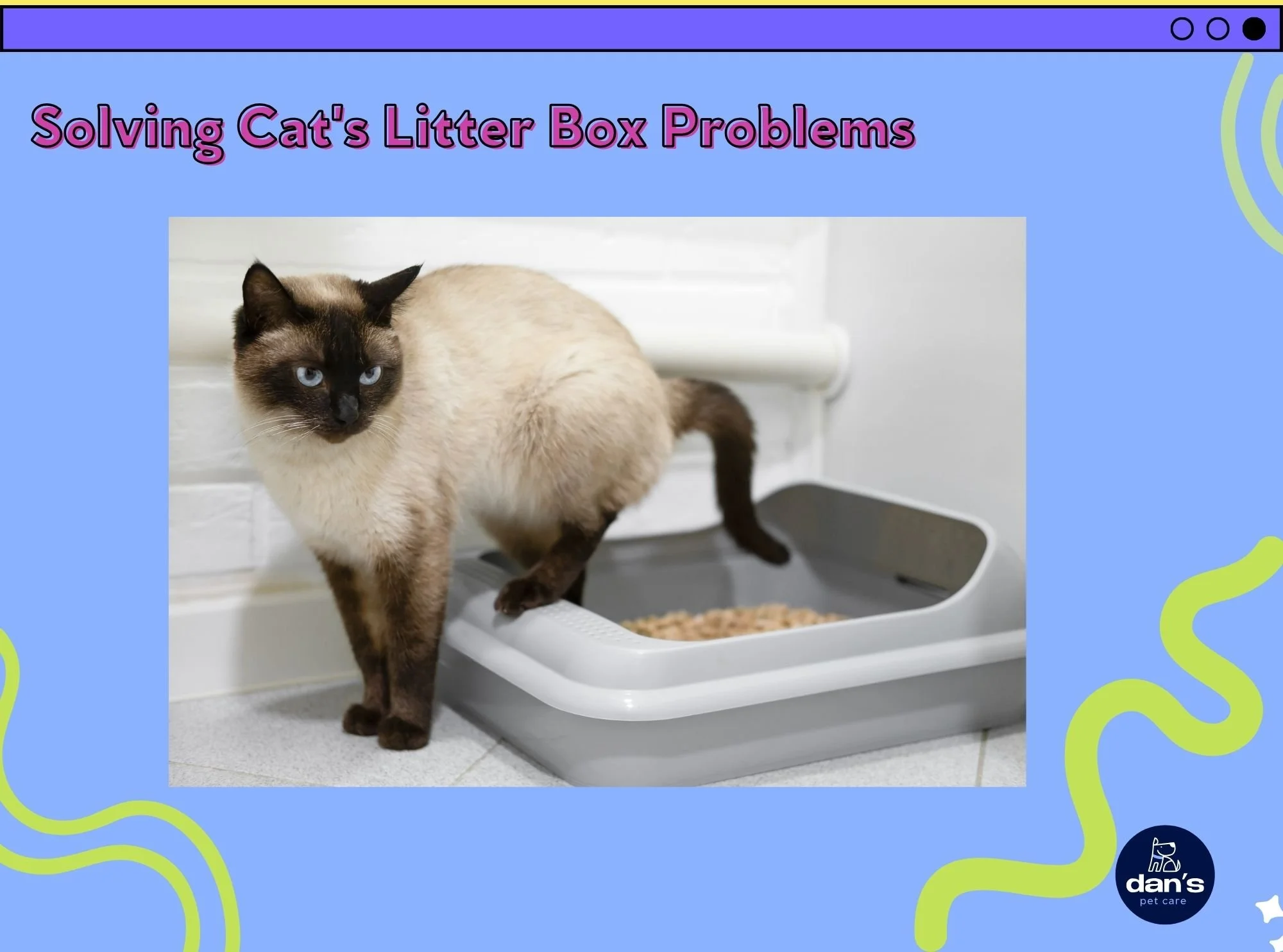 Solving Litter Box Problems: A Long Island Guide 