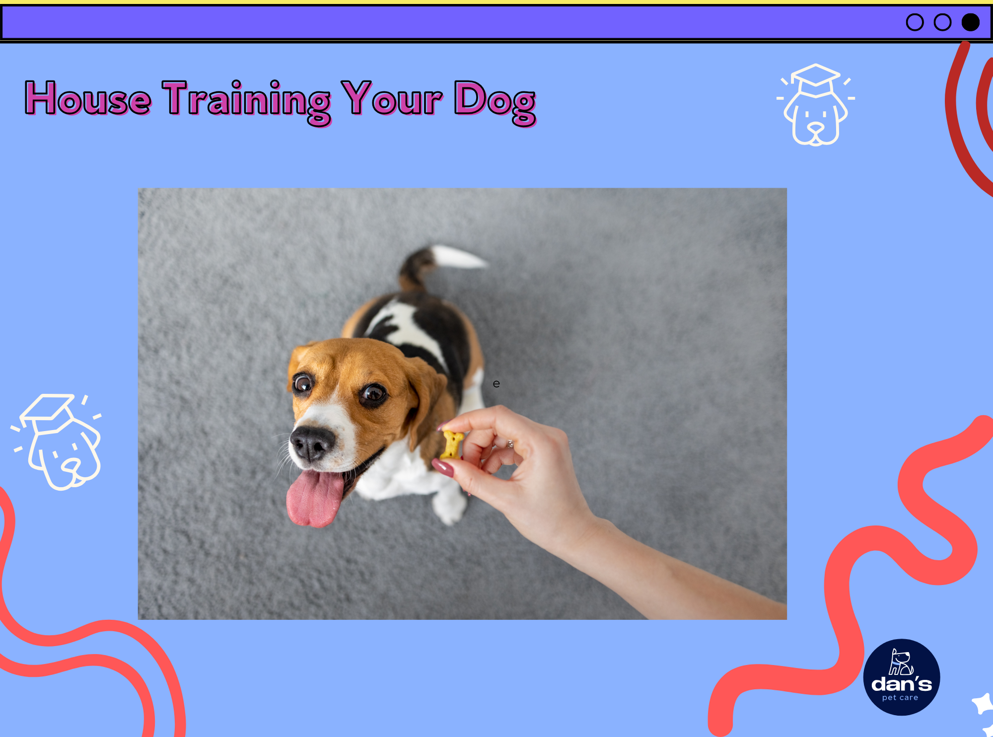 House Training Your Dog: A complete guide