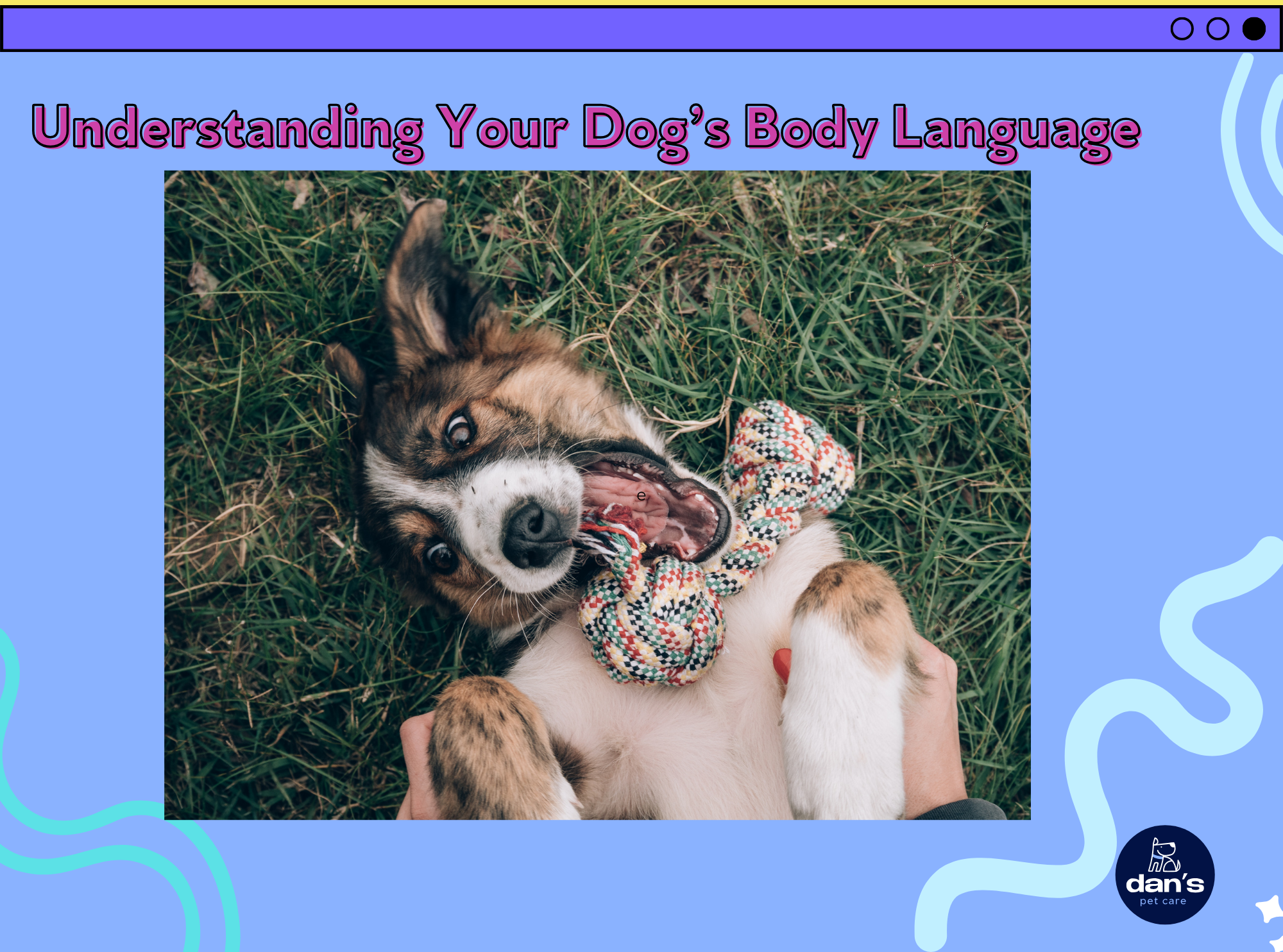 Understanding Your Dog’s Body Language