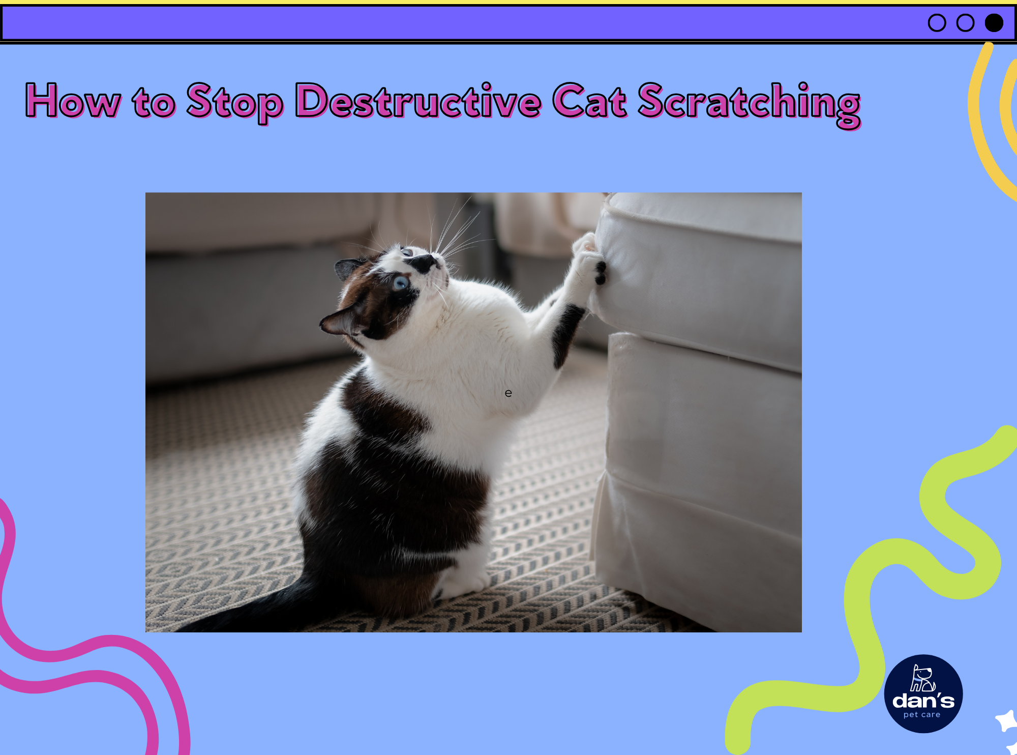 How to Stop Destructive Cat Scratching 