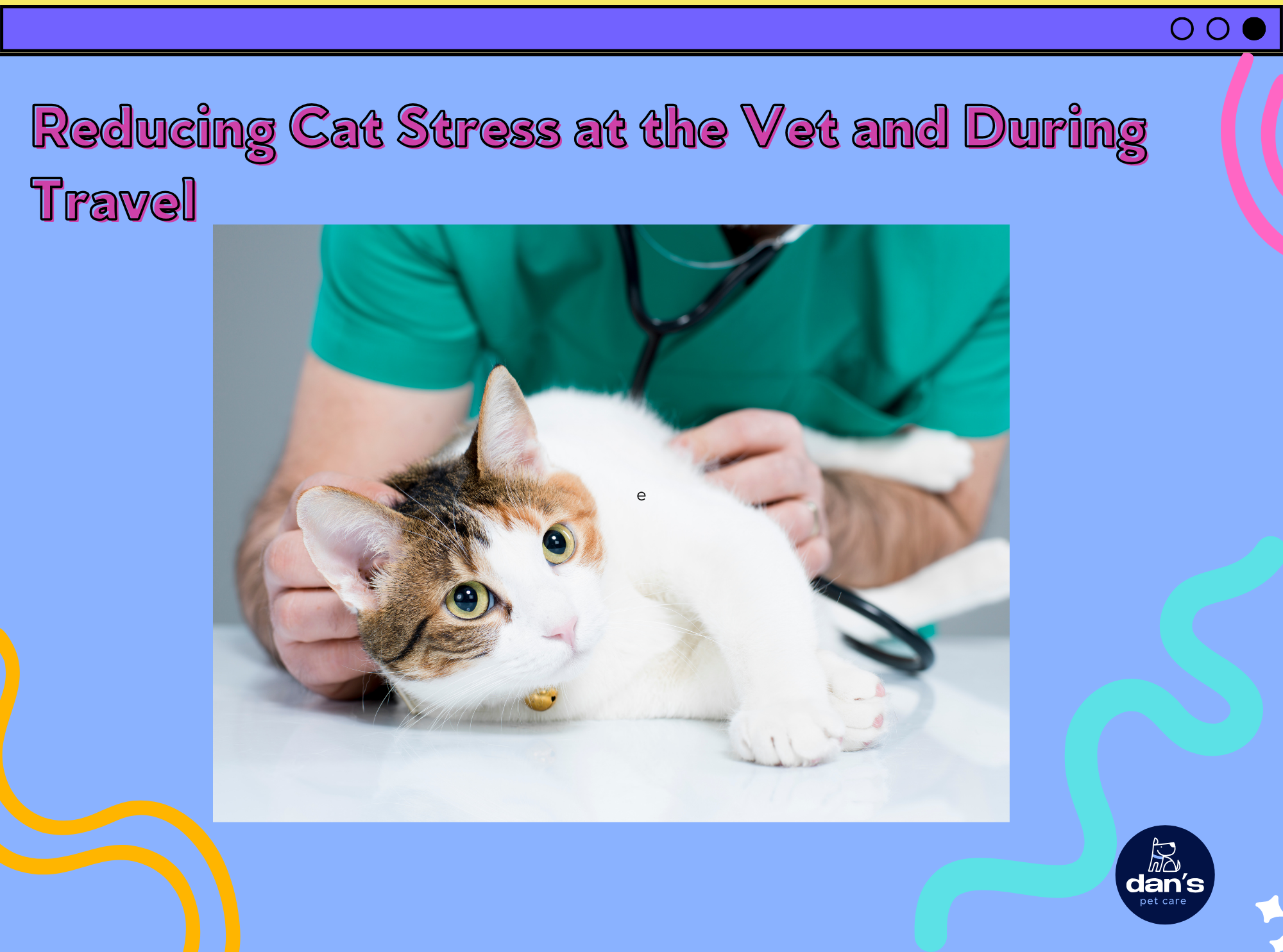 Reducing Cat Stress at the Vet and During Travel 