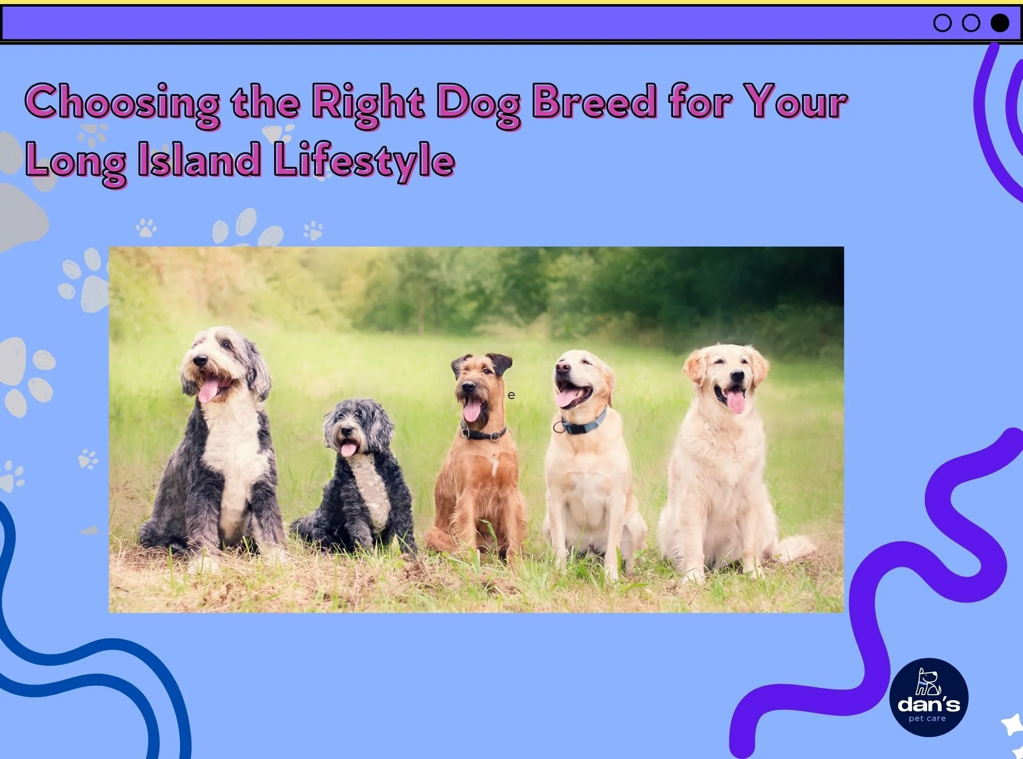 Choosing the Right Dog Breed for Your Long Island Lifestyle 