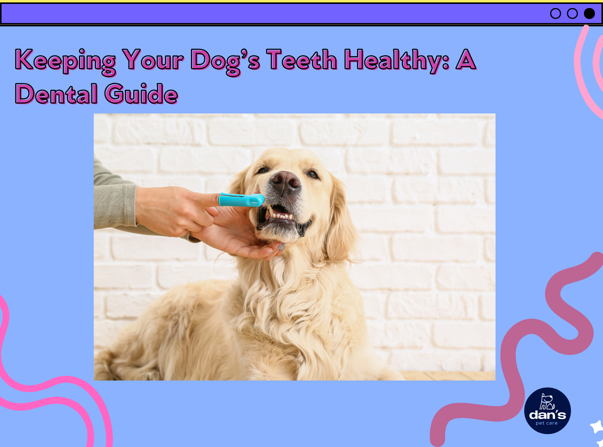 Keeping Your Dog’s Teeth Healthy: A Dental Guide 