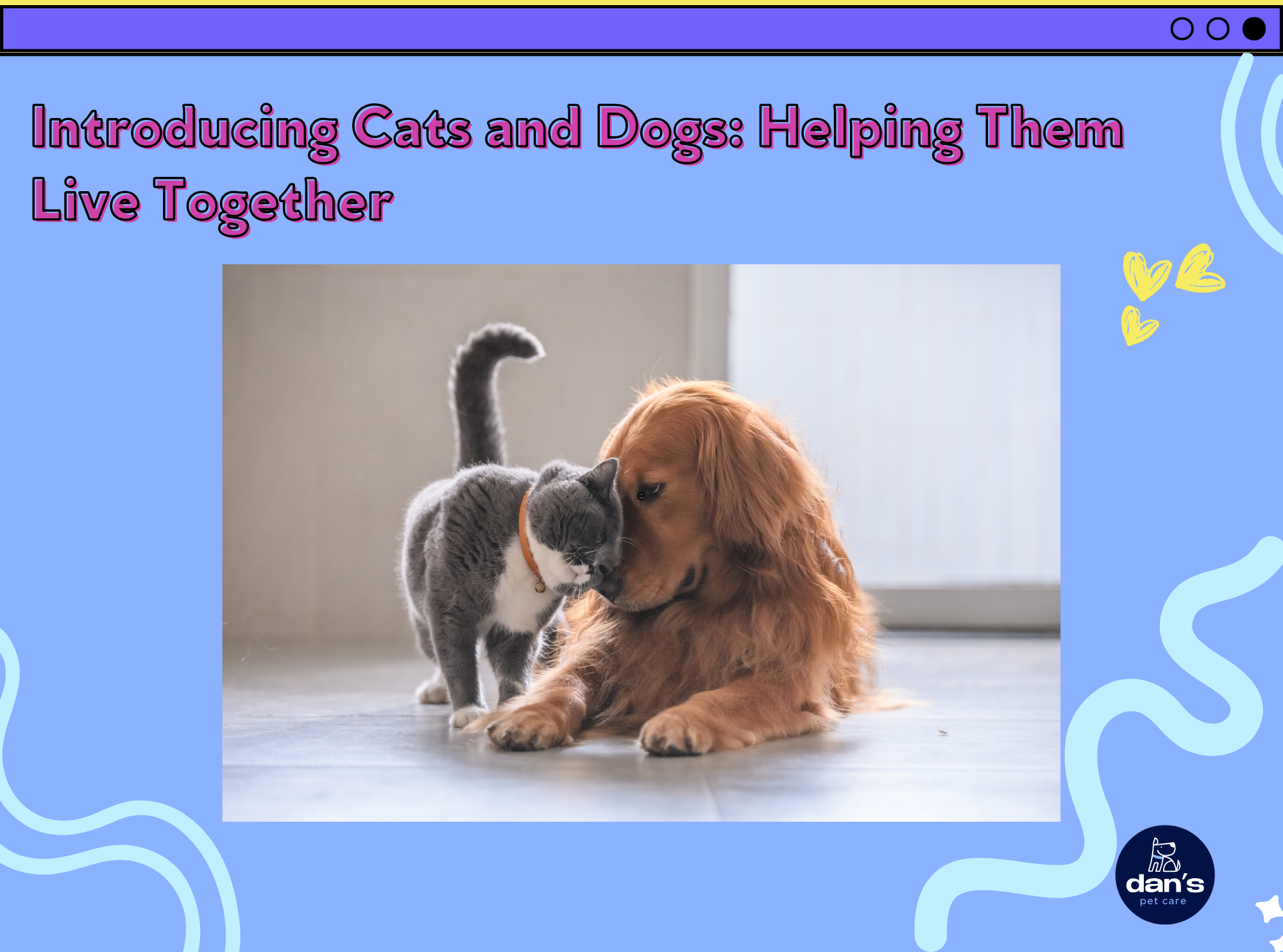 Introducing Cats and Dogs: Helping Them Live Together 