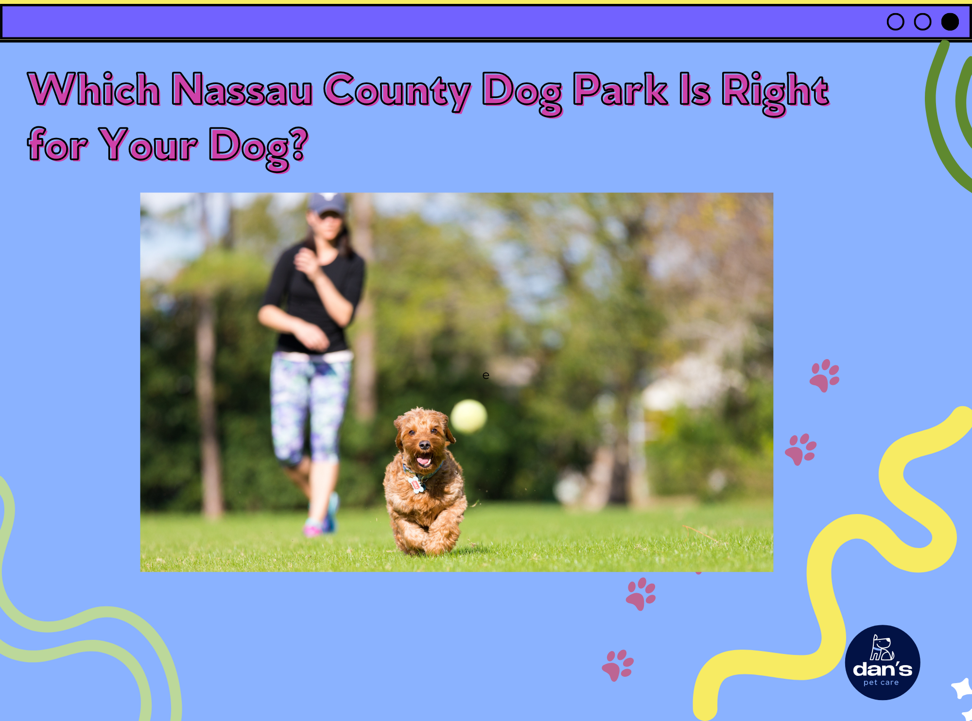 Which Nassau County Dog Park Is Right for Your Dog? 