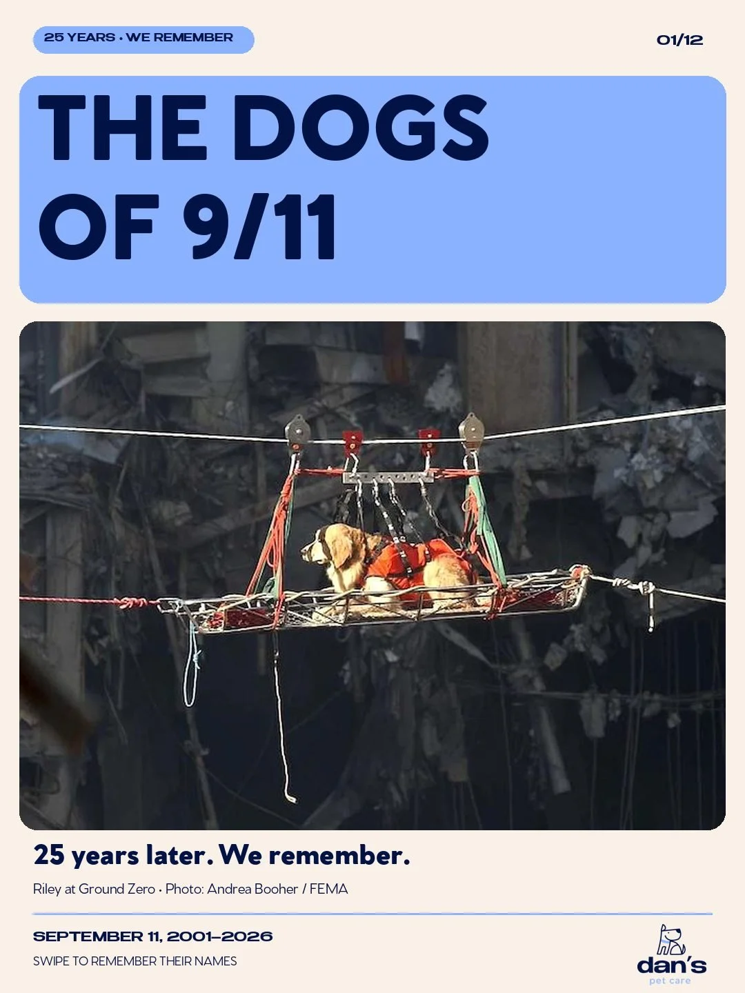 Twenty-five years ago today, roughly 300 search-and-rescue dogs went to work at Ground Zero, the Pentagon, and the Fresh Kills recovery site. They climbed rubble that cut their paws, breathed the same air as the people beside them, and kept searching