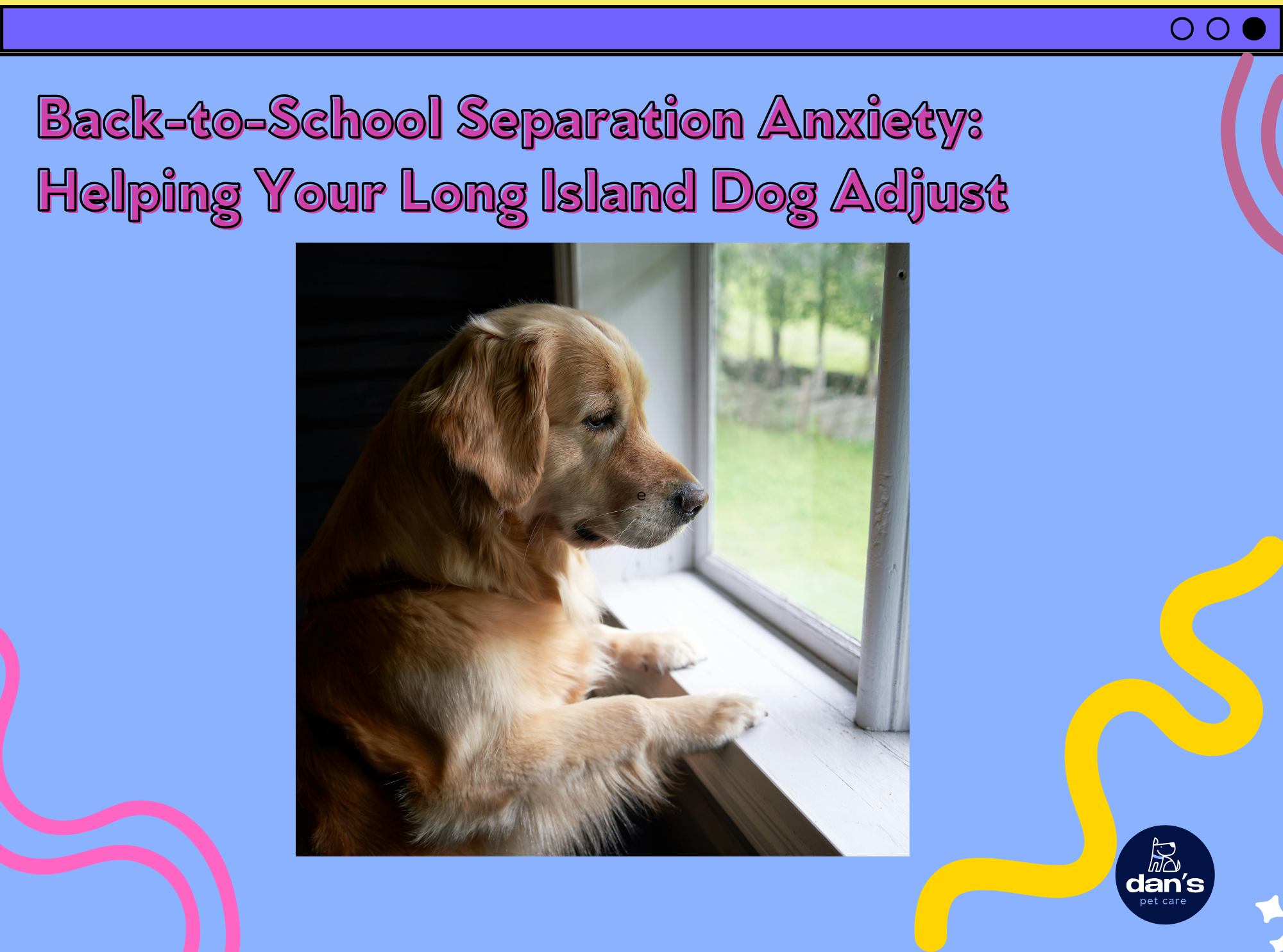 Back-to-School Separation Anxiety: Helping Your Long Island Dog Adjust