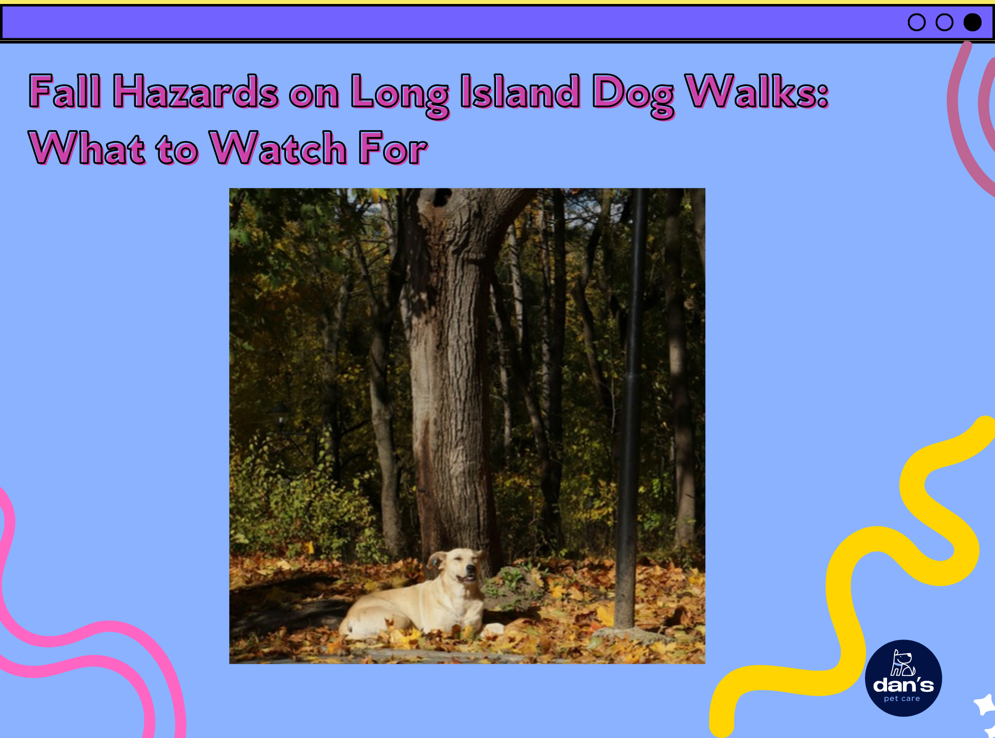 Fall Hazards on Long Island Dog Walks: What Every Owner Should Watch For