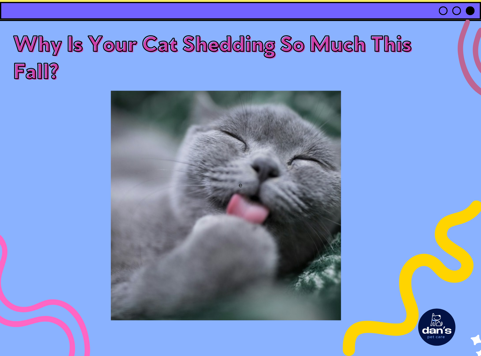 Why Is Your Cat Shedding So Much This Fall? A Long Island Owner's Guide